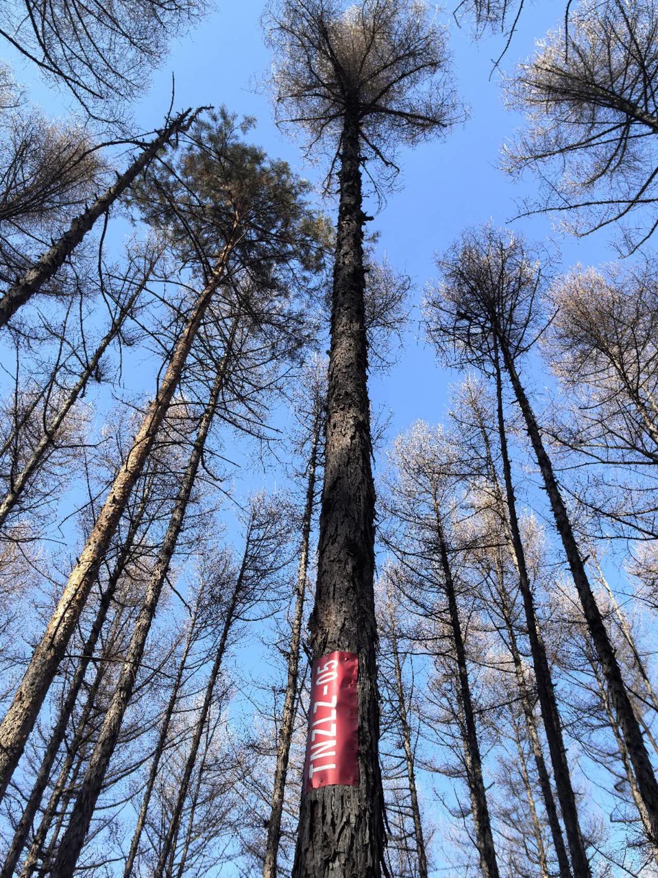 CfIL-k1X9emRsoQvxxO6FOLy7Npdi1qna5-ri4b3KgfEDeOaPLOsiIe6infKldvH