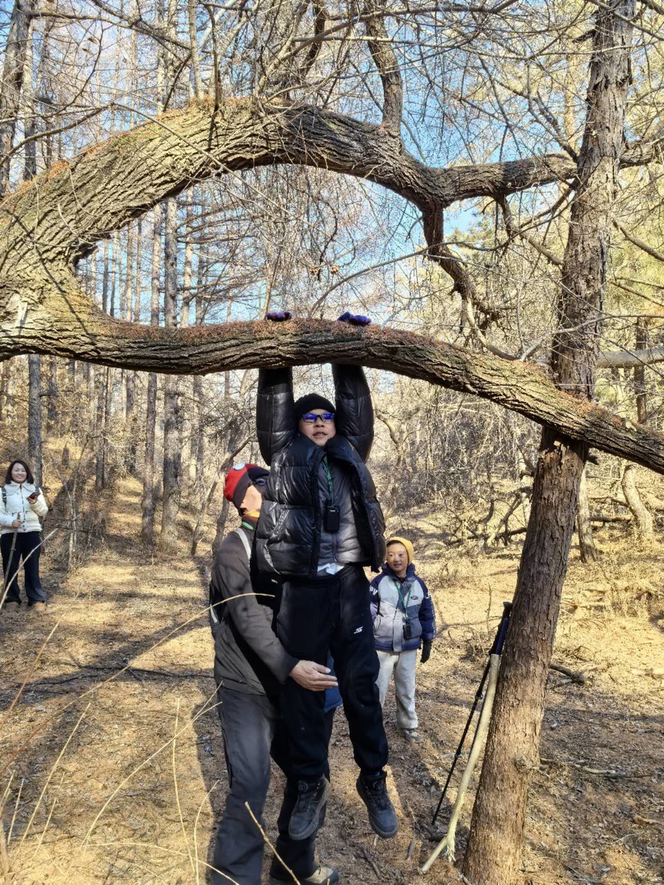 CfIL-k1X9emRsoQvxxO6FFy2gip7d9ALhD7My1IKSh0siT-Ckb6fJBvfWGYhWK0f