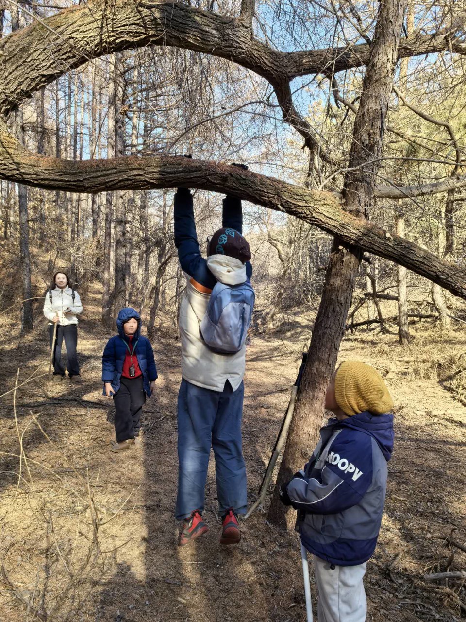 CfIL-k1X9emRsoQvxxO6FNJUQsajWLY42ff9ZOiDG7QFFUdyTnZufi-BpAuqVLXU