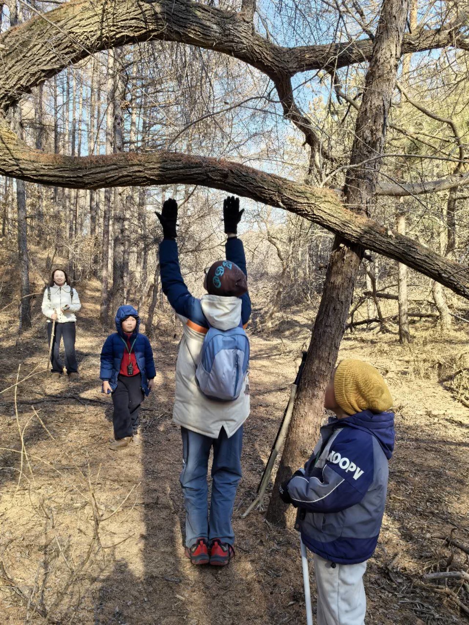 CfIL-k1X9emRsoQvxxO6FOEGOlB5wiib7HhsKKAgCe9lYHiOwzF-fDr7a512nB4X