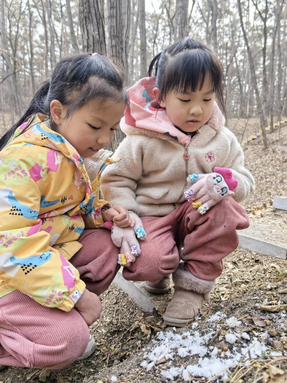 7PKQw9D_ZlOf20j2OG6NSjXnrJqQbrGvCyoocNSjBrk-t02HR02l0KvA82R8Etj5