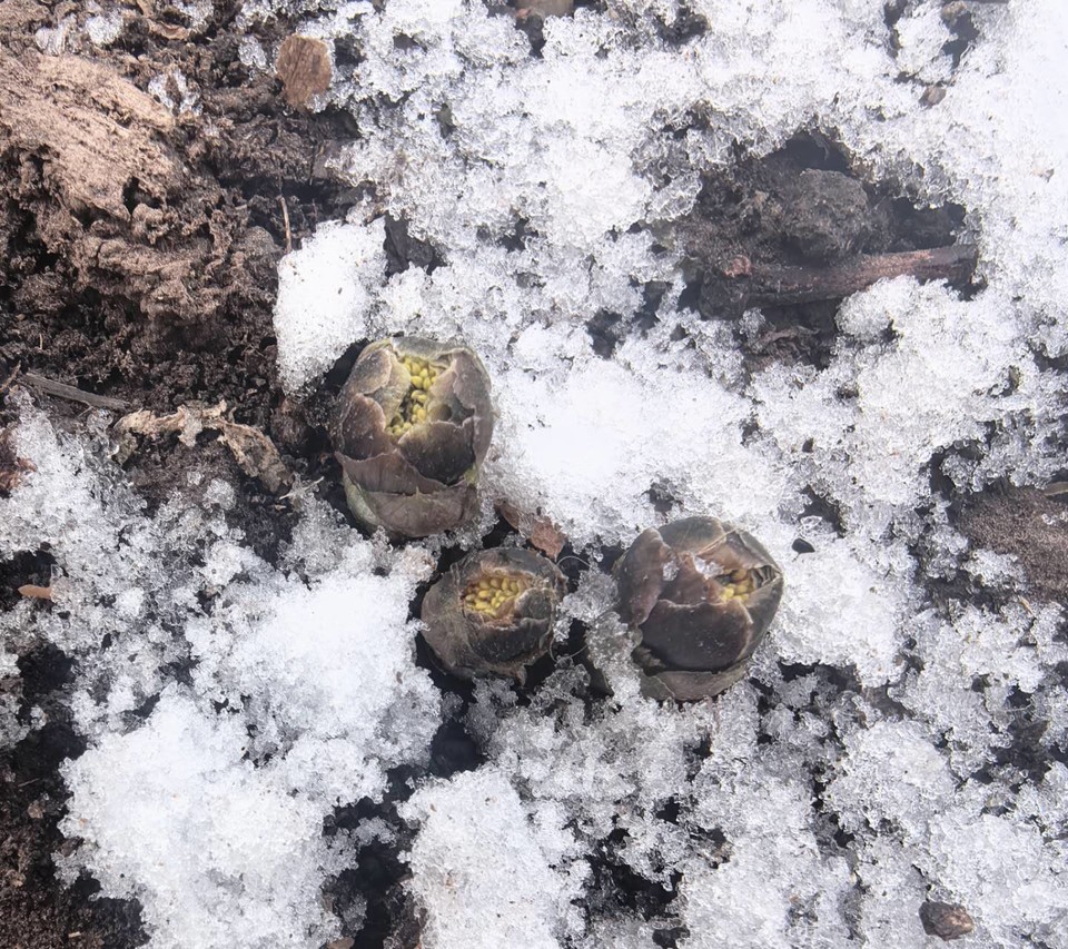 7PKQw9D_ZlOf20j2OG6NSo3QA2JNn9pVM4o3RDCYBrBwOfZarigam7ArfApN5p-W