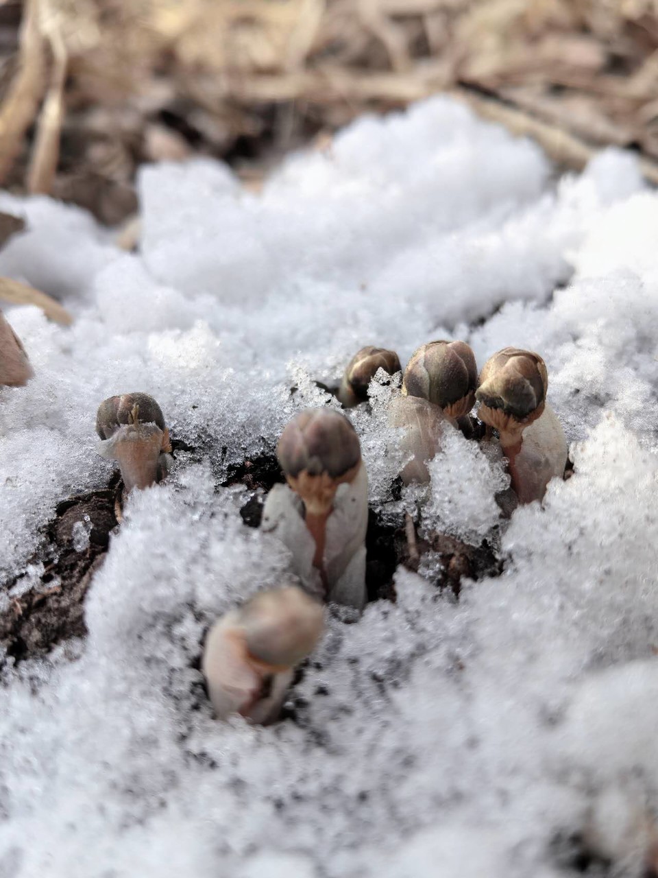 7PKQw9D_ZlOf20j2OG6NSuCP5EmWDjtjSZAfC-tMD_vj2mVJ-urF1f8-DLi3Ke4J