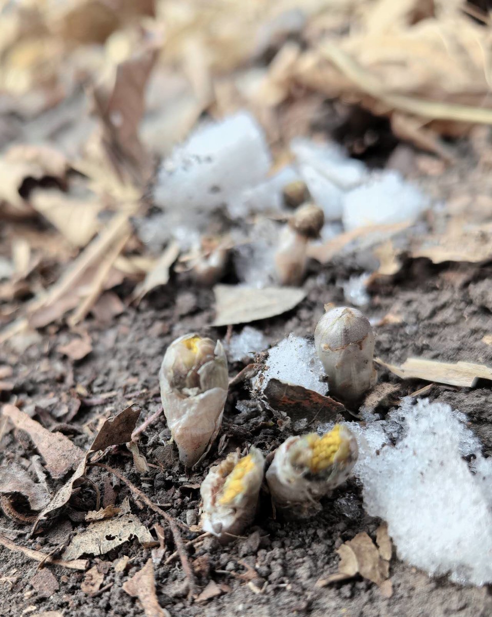 7PKQw9D_ZlOf20j2OG6NSkNc1WtC_CWjexsfxZBbyz6mNz3gyqVfCIuNMbghCCtI