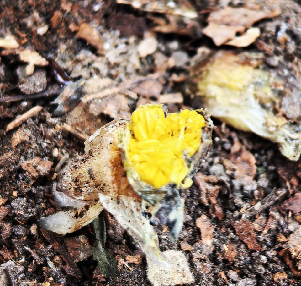 7PKQw9D_ZlOf20j2OG6NSmGzUAXprTUVM33eimw5cX-z1rN8K4pyKLuXKbMsg9Mg