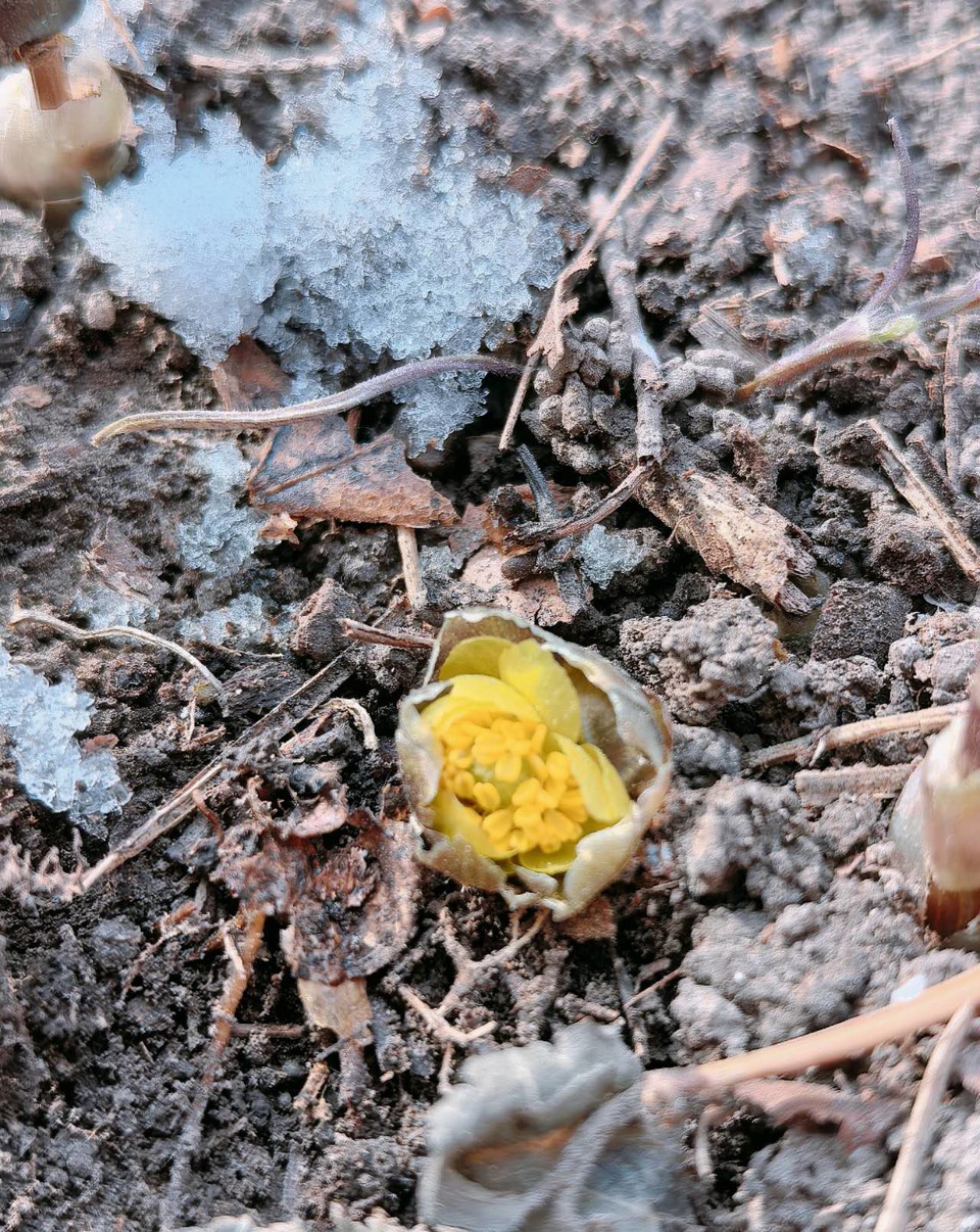 7PKQw9D_ZlOf20j2OG6NSh_-r6dSCiu7OCtNLaRw5EA1bdPlXXPB_udfQLfEvL5L