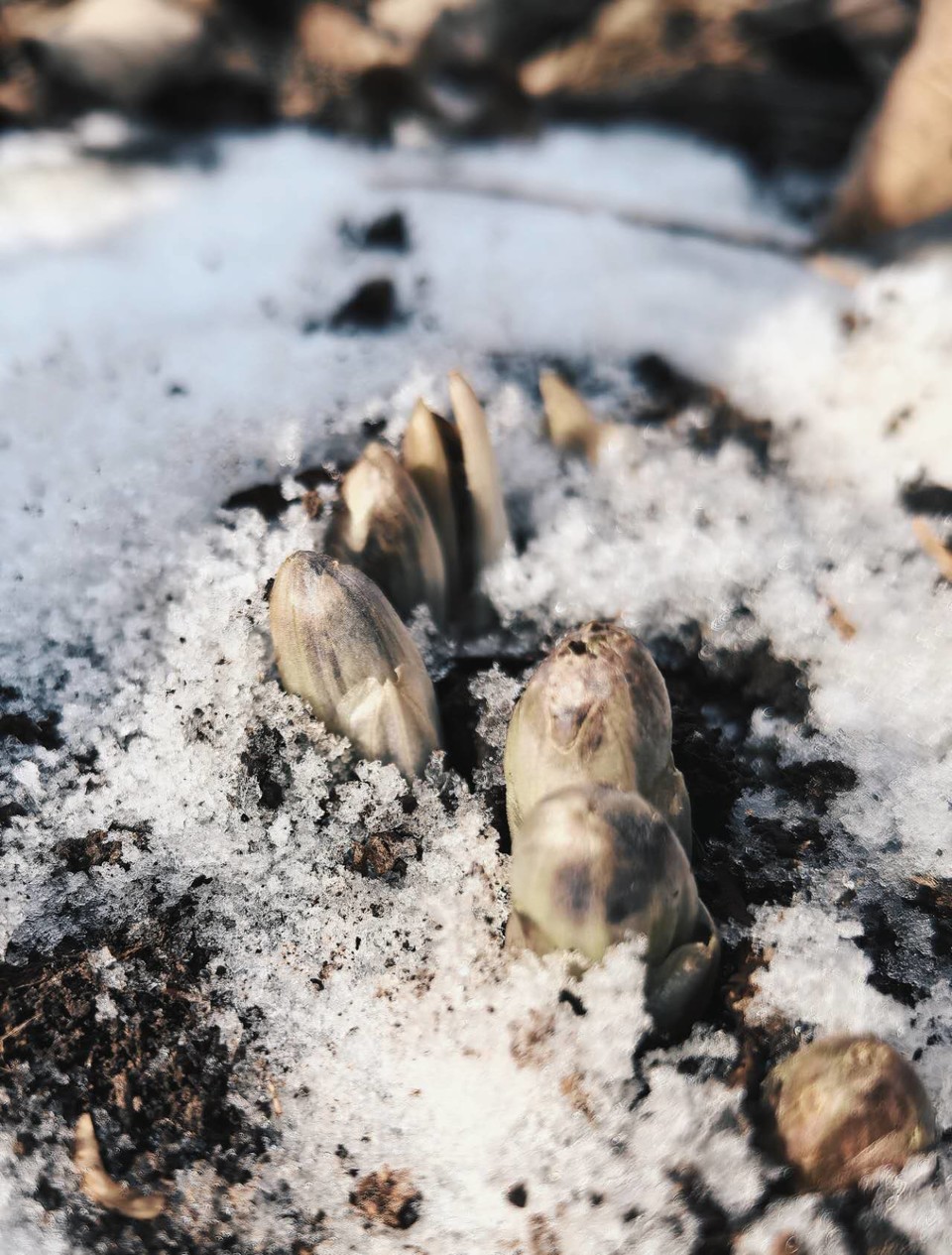 7PKQw9D_ZlOf20j2OG6NSsXu9-yXZNJQNe960ct2vLxbPwNoSOT8GGA1P_Xav3g_