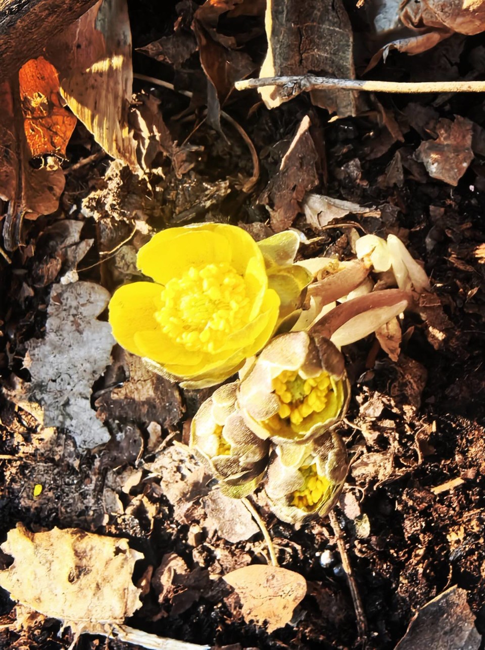 thRVc0QxptMZ_CQNmt0Gw5UH2vl3WD66w7waqbw66_0xPdouEH3gzD-q5pEUi8ol