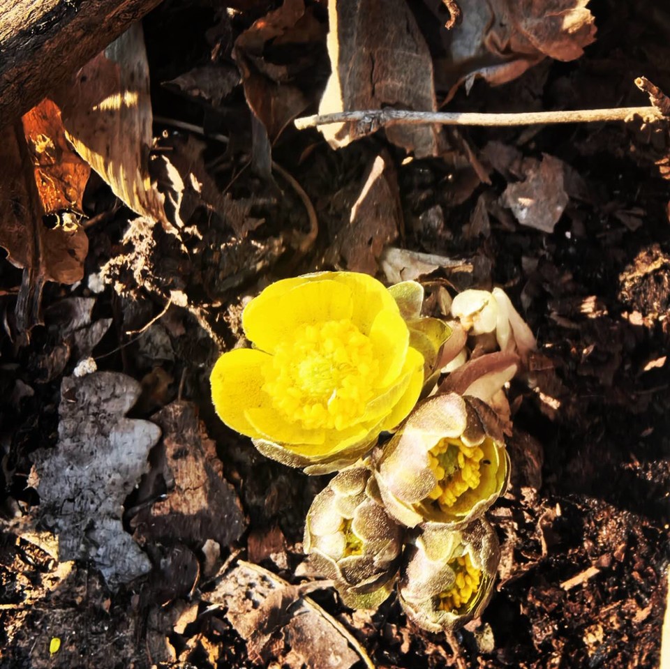 thRVc0QxptMZ_CQNmt0Gw0EEfU1GY8MxzsOyUUpgPQwrmWyGQpSe-fBeUyNZxPoG