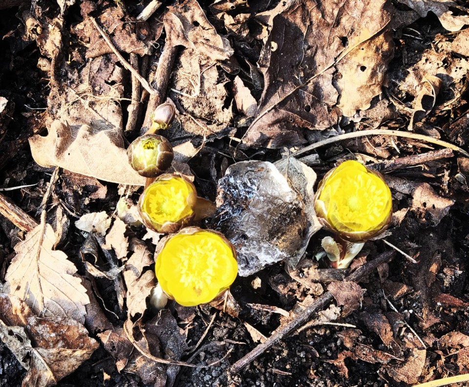 thRVc0QxptMZ_CQNmt0Gw-yYMT1q-PV4tFZJlaEqmgjjgK8Sur0qE5s8JqKSBap4