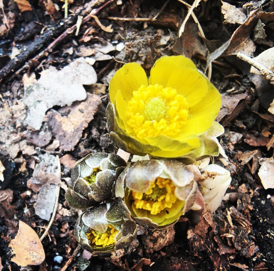 thRVc0QxptMZ_CQNmt0GwxliUdIg6aqnO3q6cXsiTBpHYAy8SFofo9wQMlj0o77C