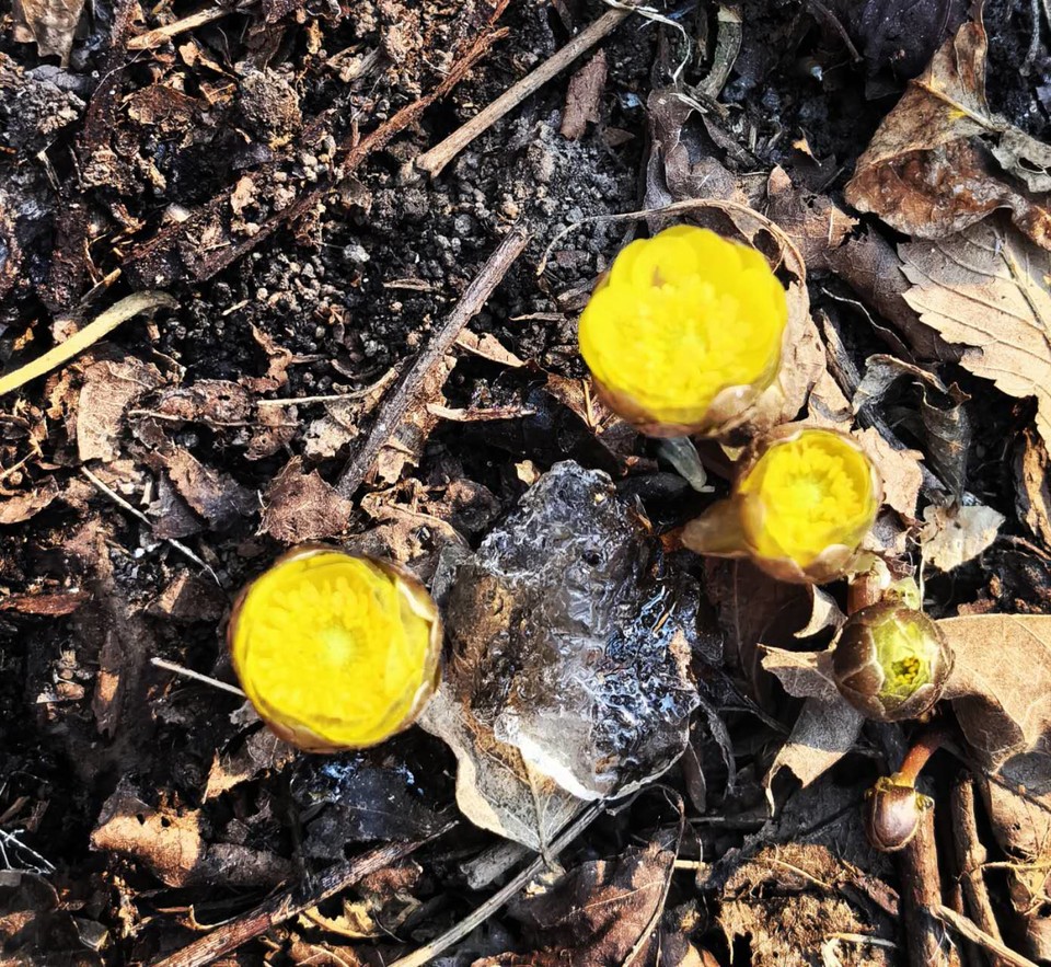 thRVc0QxptMZ_CQNmt0Gw9ymSkExBD6Rsb4ZUYygFM4Yv9Sb3lMTphD-SEogvcZH