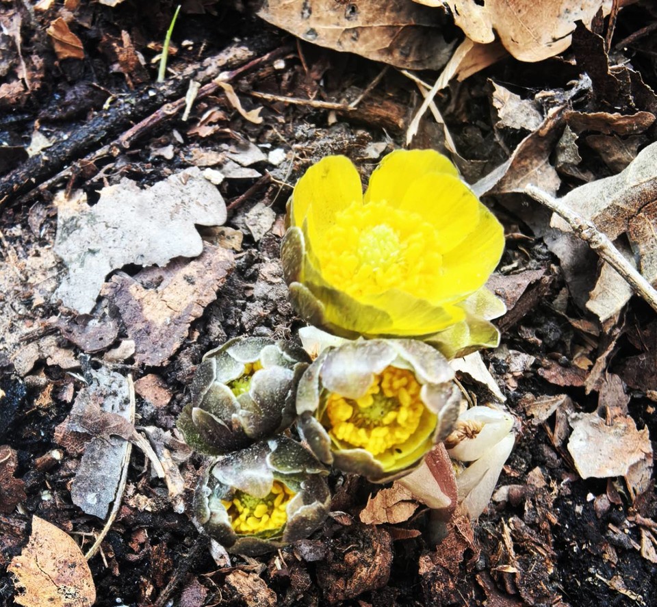 thRVc0QxptMZ_CQNmt0Gw0n0iPOVLdoJbTEnXSYLsqbplk4zLKie_4B1Pp_yt5XA