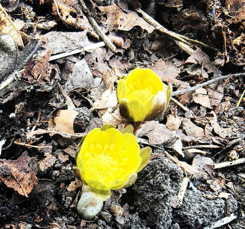 thRVc0QxptMZ_CQNmt0GwyFpIPzs63SEQsys4-RAC6xQClXyerHj28aK1suwDVpb