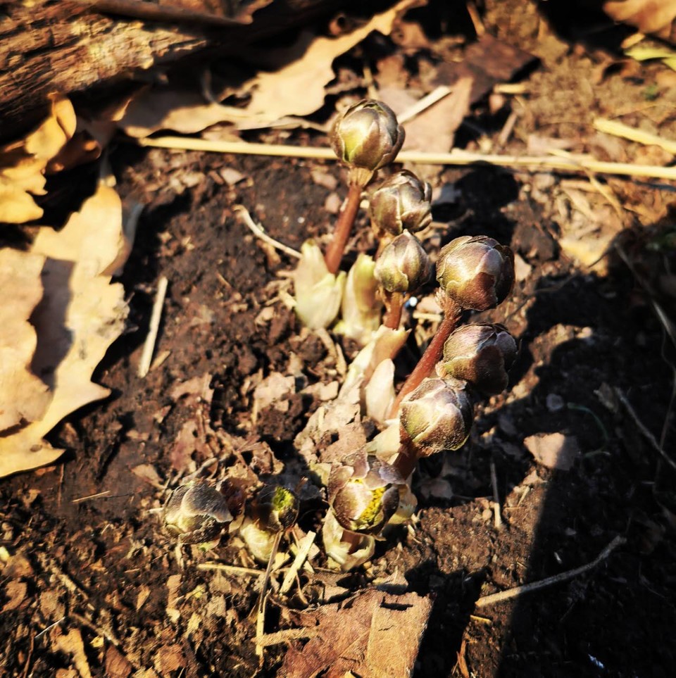 thRVc0QxptMZ_CQNmt0Gwyhwrrlaj06Yayy5ZJNeHCN-KbP5eqN-no1W2caffetq