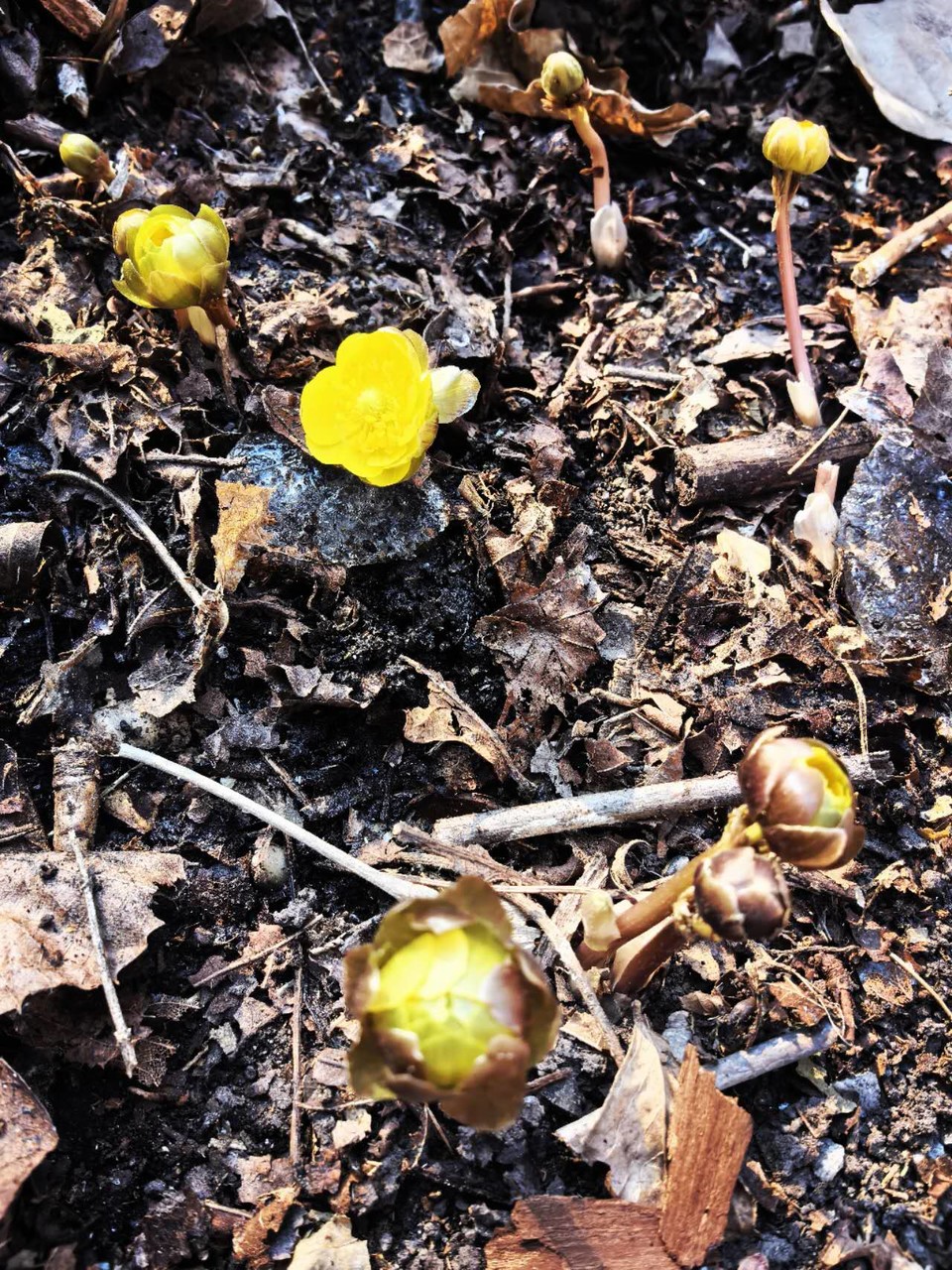 thRVc0QxptMZ_CQNmt0Gw8mrH3wdL4vF0HqzfWjM50t06pm-KO5rT03wwOQoJK_j