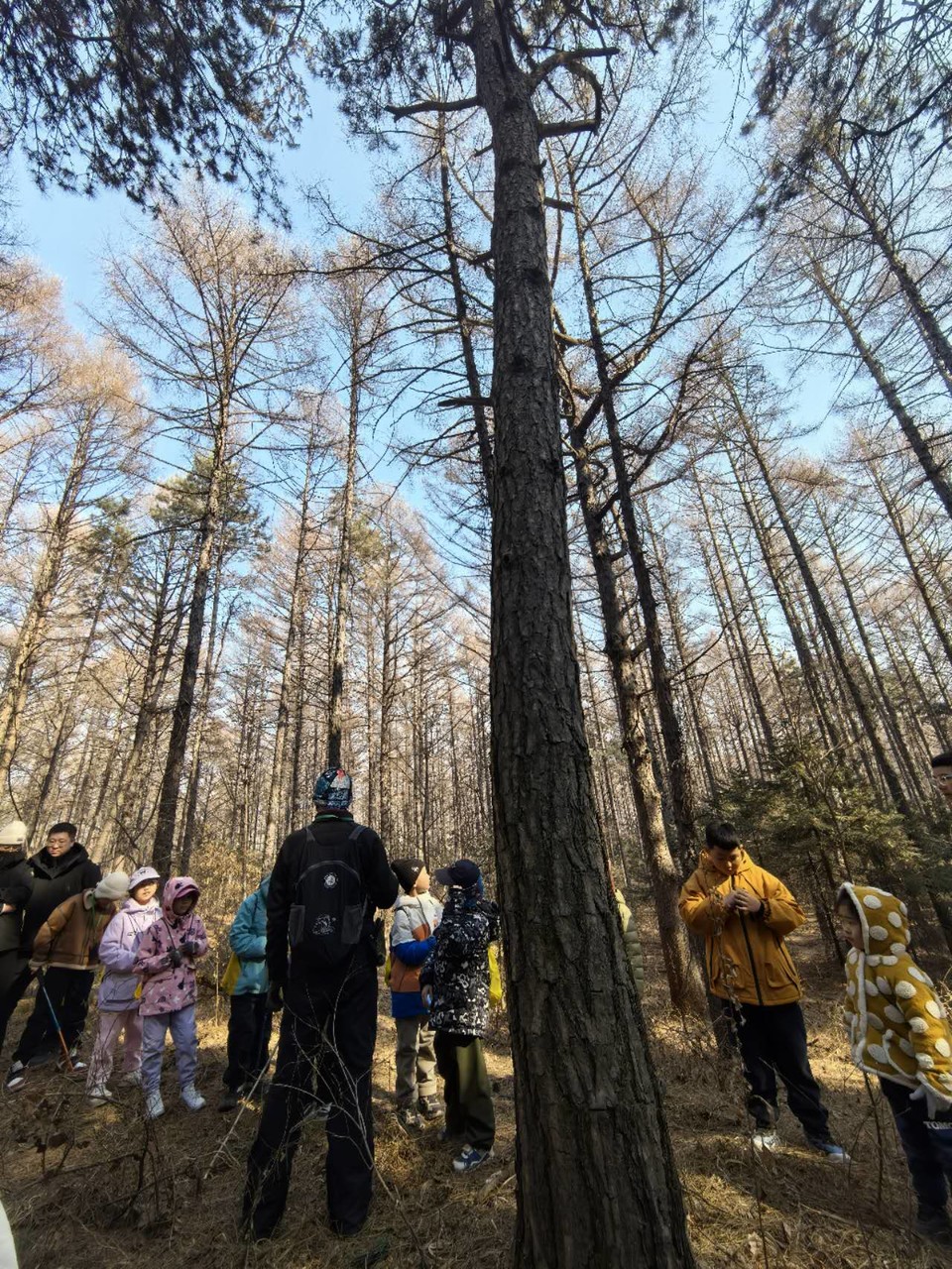 thRVc0QxptMZ_CQNmt0Gw-EPZdJua5W6lM8e-7Va68tMvgPzRunQWcnvl3LqFuVX