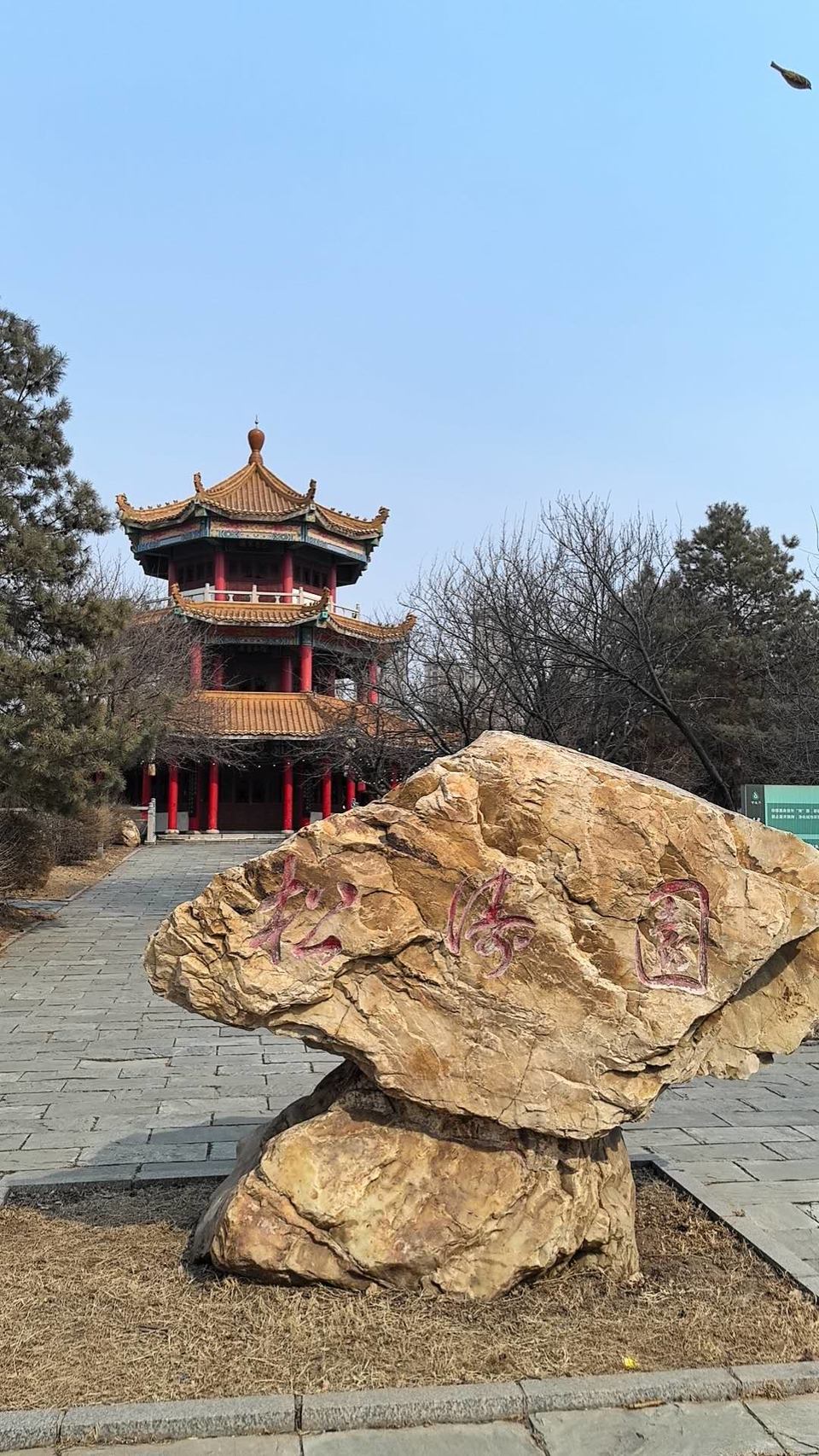 MHaOP3bC051QAPW6npS90W-1jlHbapTxmGDwTEI7ZhlR16GLJoiCYCVTaY0bTSis