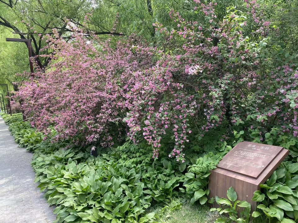 OMbTASpHNL2vB2obEzGJp4Vv8c-YmCa_UOev6DPwwZVTco1FOXfKA6scKa34Nds7