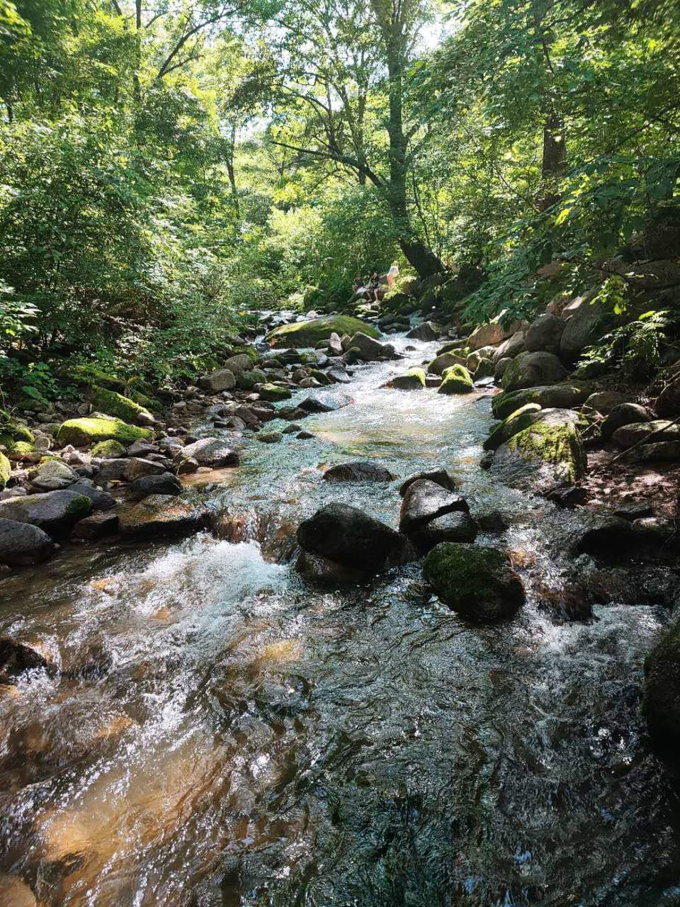 SeA0StyvnC0RQQlQKSqjwXCOcyFfj37Jj8YUguS21AGEIgST74u_nemGKtkWMmmh