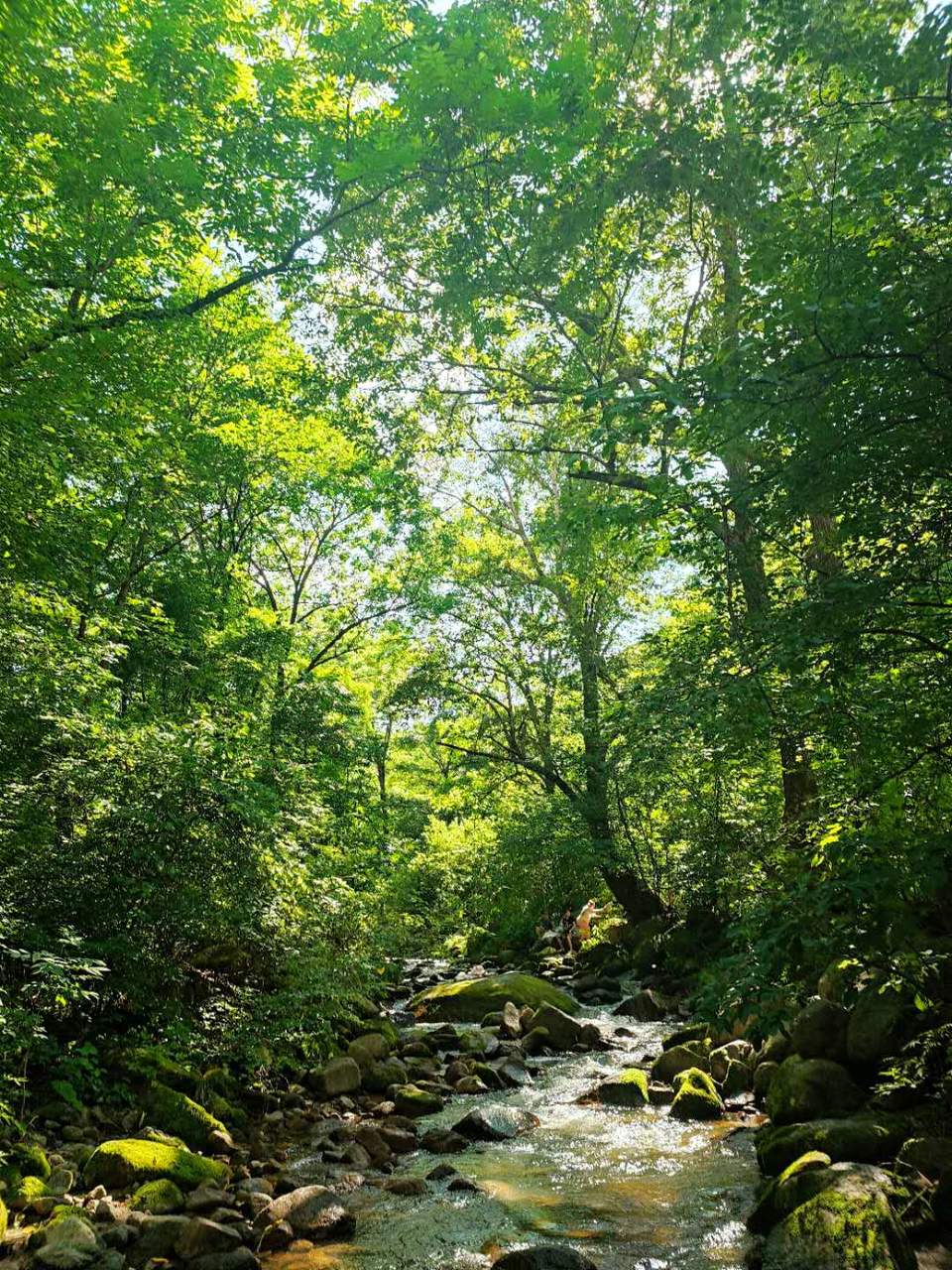 SeA0StyvnC0RQQlQKSqjwSDvL6P2iASMi8aioam00dcSXNmkT28NSxUMcgxSwfhs