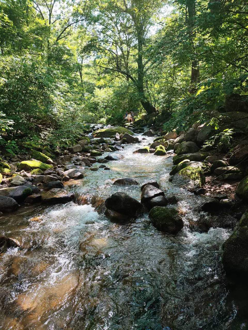 SeA0StyvnC0RQQlQKSqjwXkh_OsPXEGDE7pwSGACTc69T0A3IK2Z-s6CktBfozrh