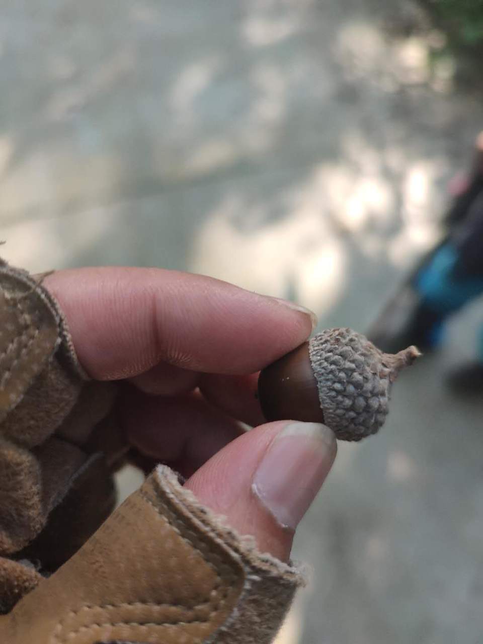 QCvNDB4cGDktT0yoAI9pRzXjPDDwwyhqtN7zmnaZo8nYnc3UKjs1GwDZ__7nEEDw