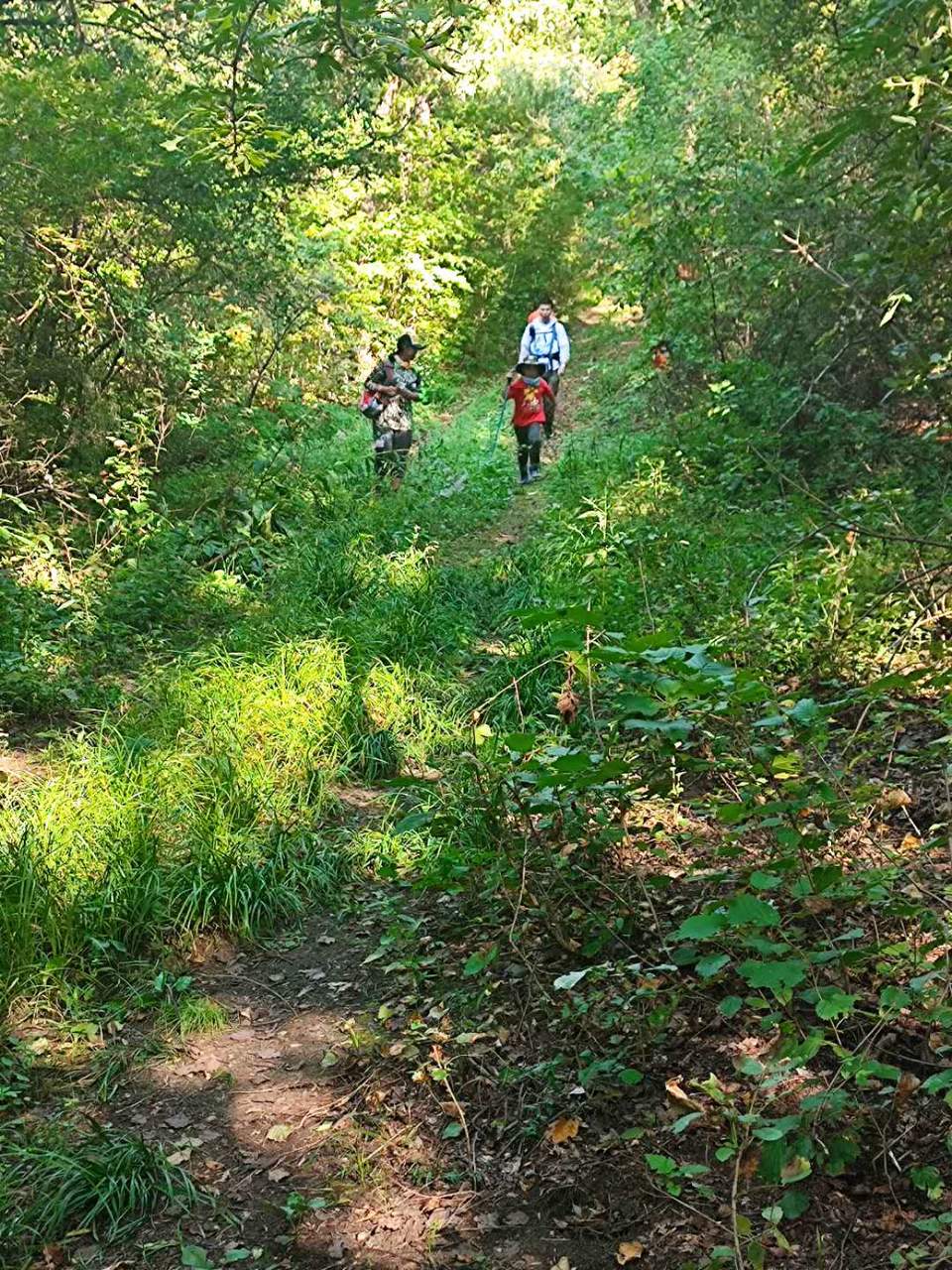 QCvNDB4cGDktT0yoAI9pR45FAM1zWBxYOAzj2KMRvvKbo7OkndD65Fv2Lm9KYMvQ