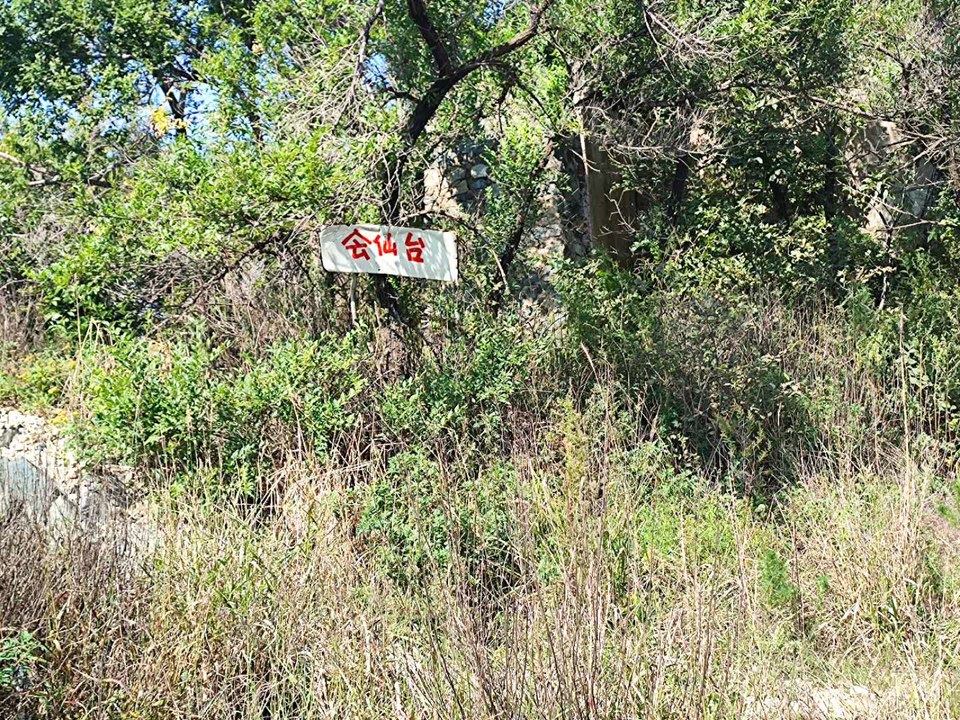 QCvNDB4cGDktT0yoAI9pR3A_psuN2ZXz66nsDCaLQmWQf1x-2bDFGN9I4md7GtQ8