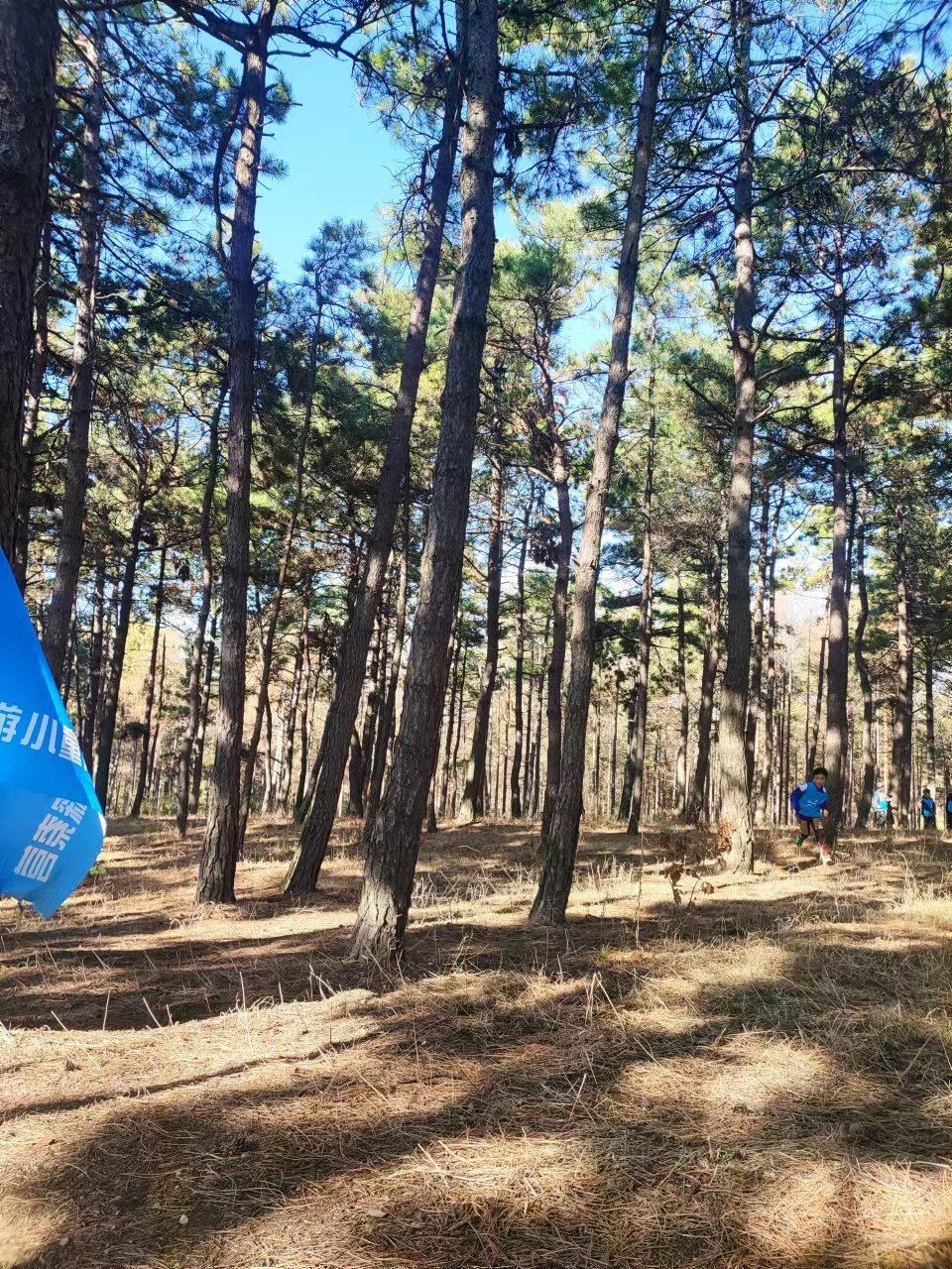 J0Ku07KC0GQpNVQQmD9DPJ7qMXkfvslgTzwxC8AYa5DLZIrMkSRr5aN2GNeGRqBZ