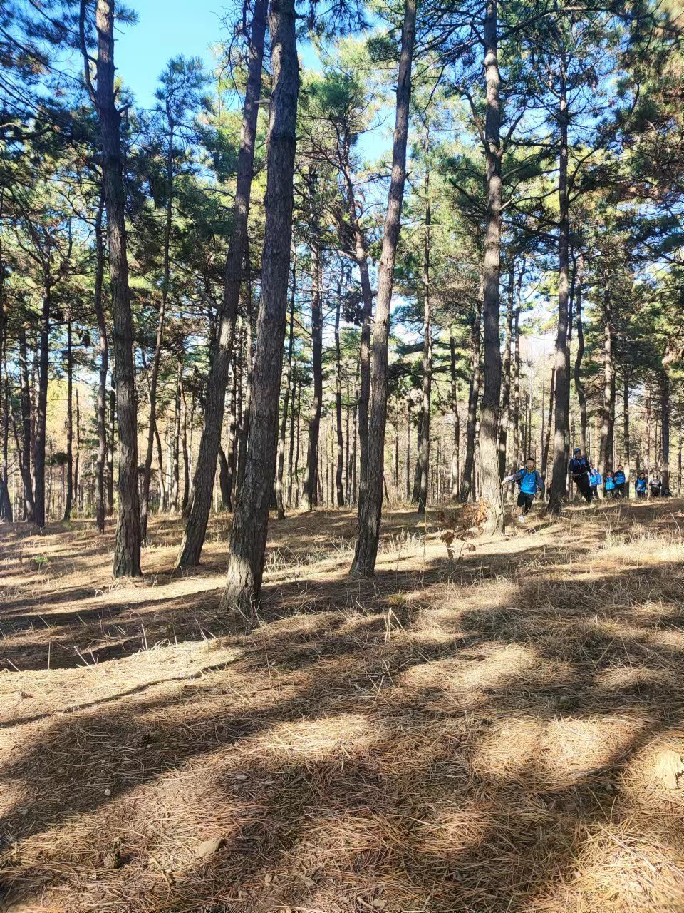 J0Ku07KC0GQpNVQQmD9DPPjsfkQ3u7BVKvfbrVDUdcC-pYg-ytKpqPT9pYxHOxw-