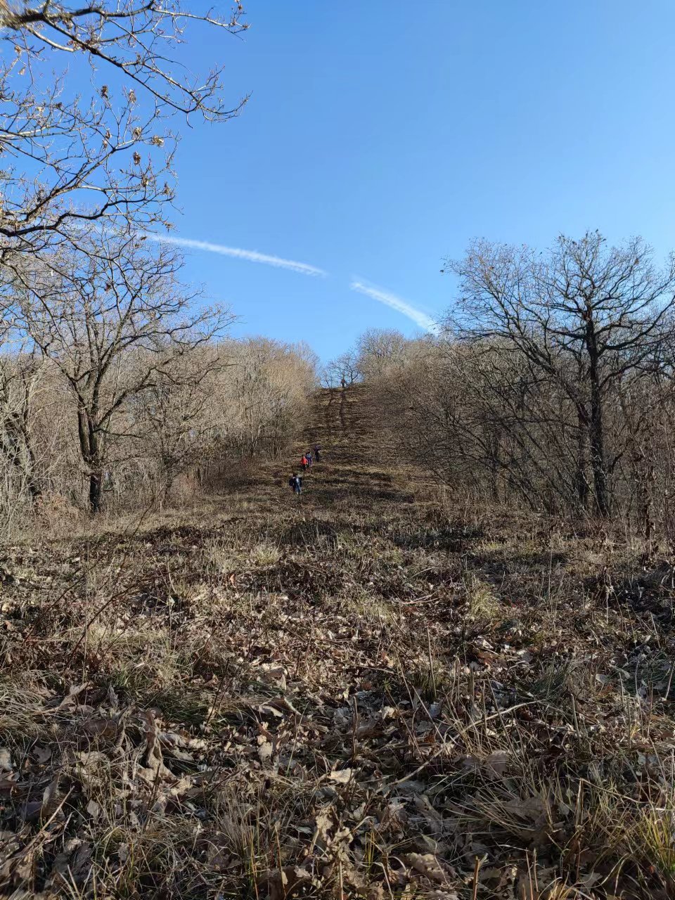 l3pwE7awCV3NKRoMXuTxCeU897MdVobl5kEdhPSqUWaBBCnqnxsmMkO5wENyN8o1