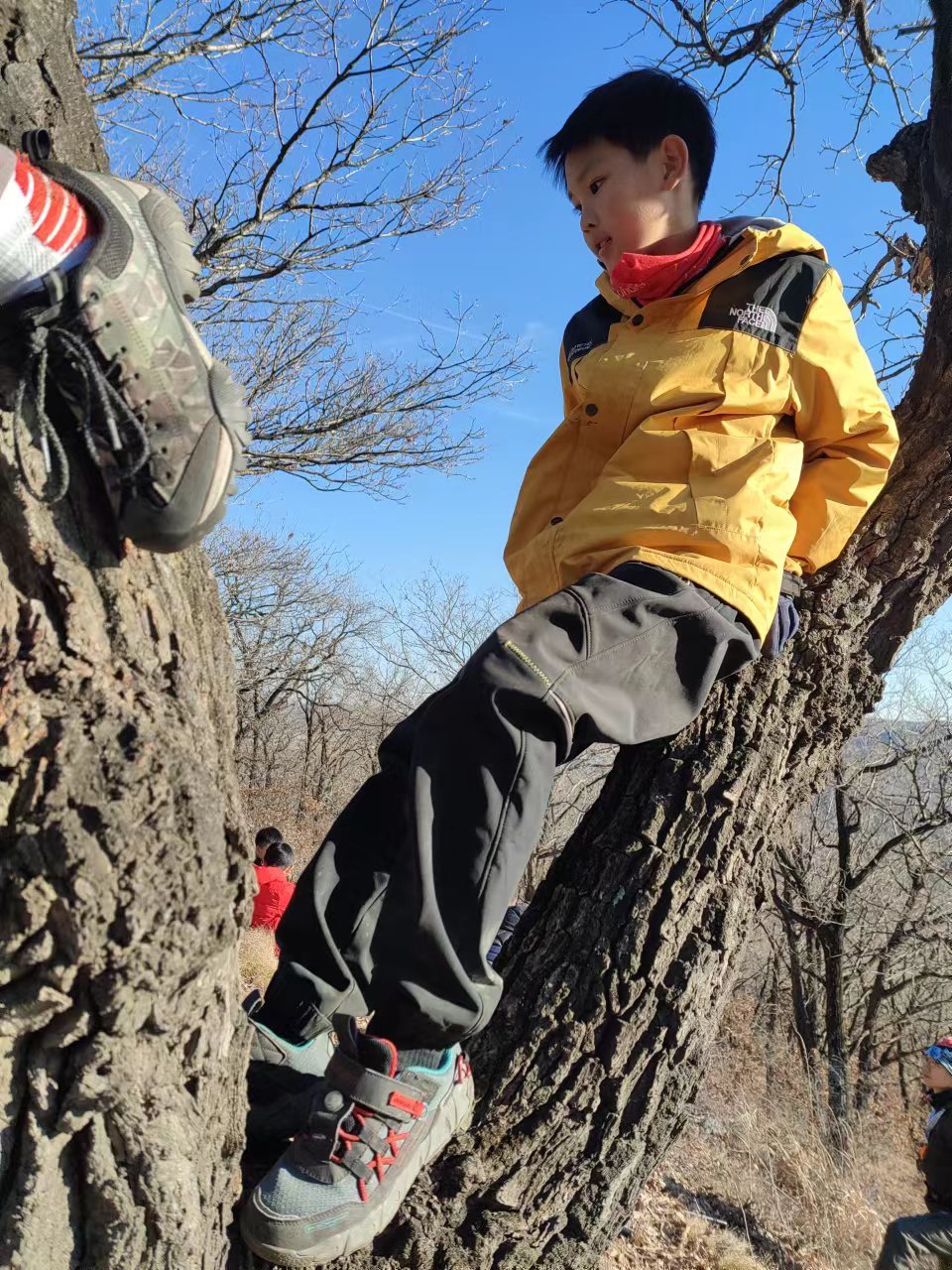 l3pwE7awCV3NKRoMXuTxCdvJZGZz8G51uAZX66KP-HB_exMkNj4ZPsI0jEJn05g5