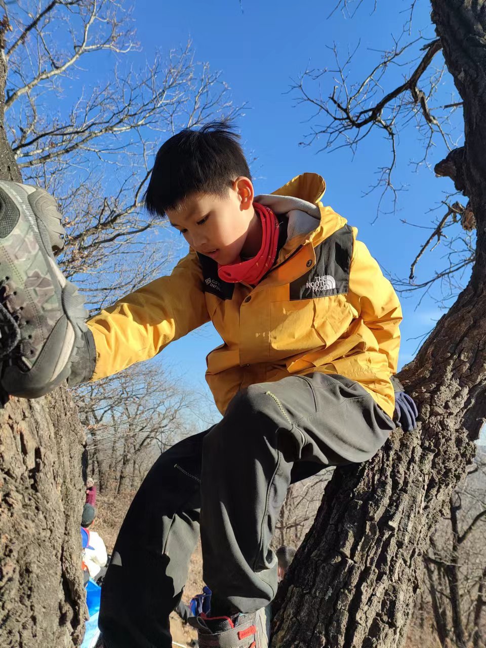 l3pwE7awCV3NKRoMXuTxCSS5tDBmGaQESU2RFDcpDz1TTdeKdsSfYFrB_mnGgbPa