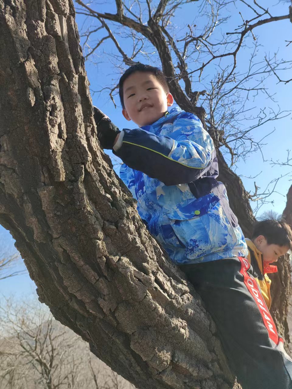 l3pwE7awCV3NKRoMXuTxCV2oBUpnPK_InsllP2oYuBmoz2hcI4UArmA-2hxbqh6Y