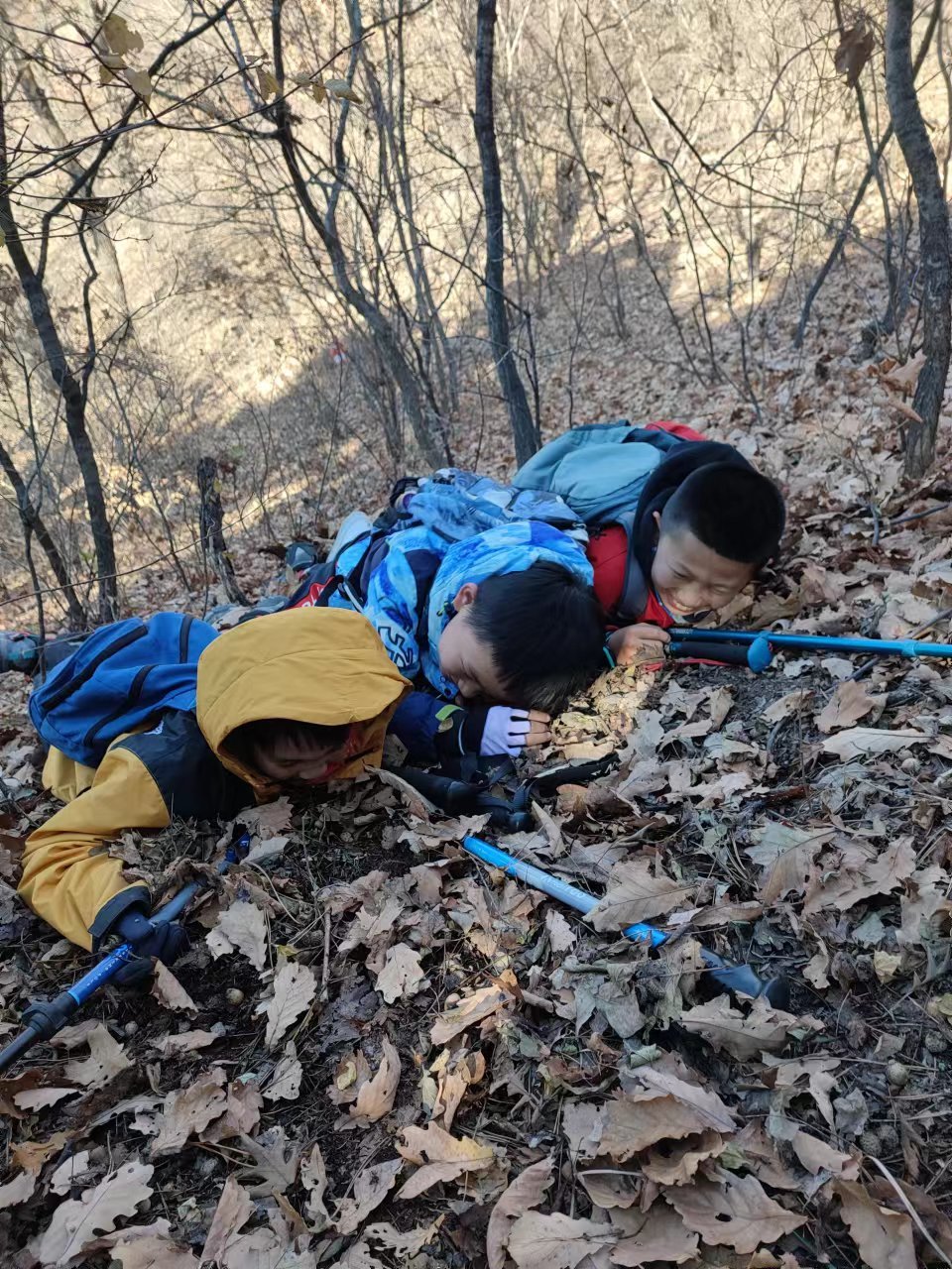 l3pwE7awCV3NKRoMXuTxCfkevZHY_b7UWqmWQvJ8DqdvXgWlaD1Z8IXMlDhu-0on