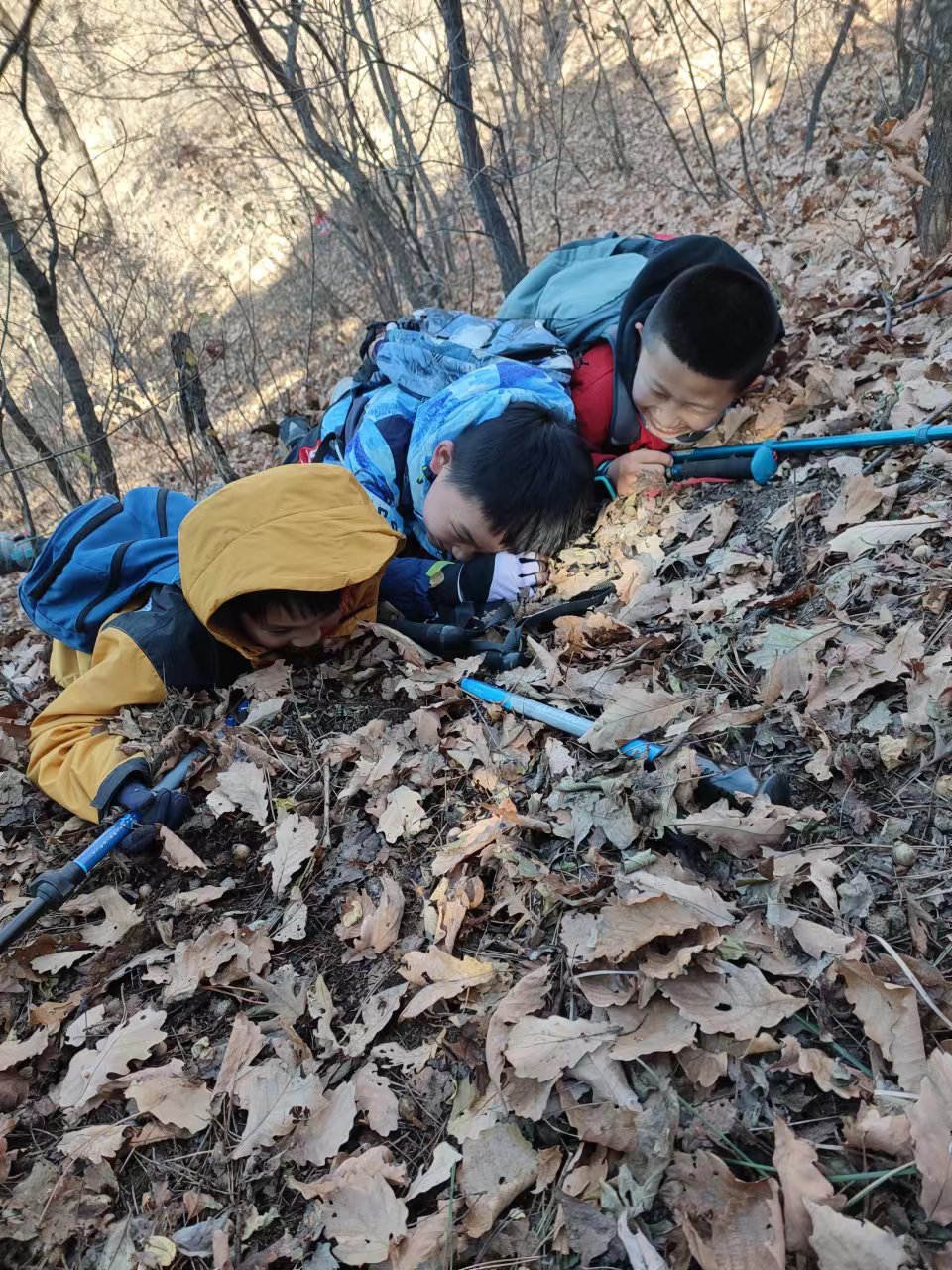 l3pwE7awCV3NKRoMXuTxCerE8ef4s-GB_2iOpqZ7hJf0921fK4hwxTxR_54AfQ7V