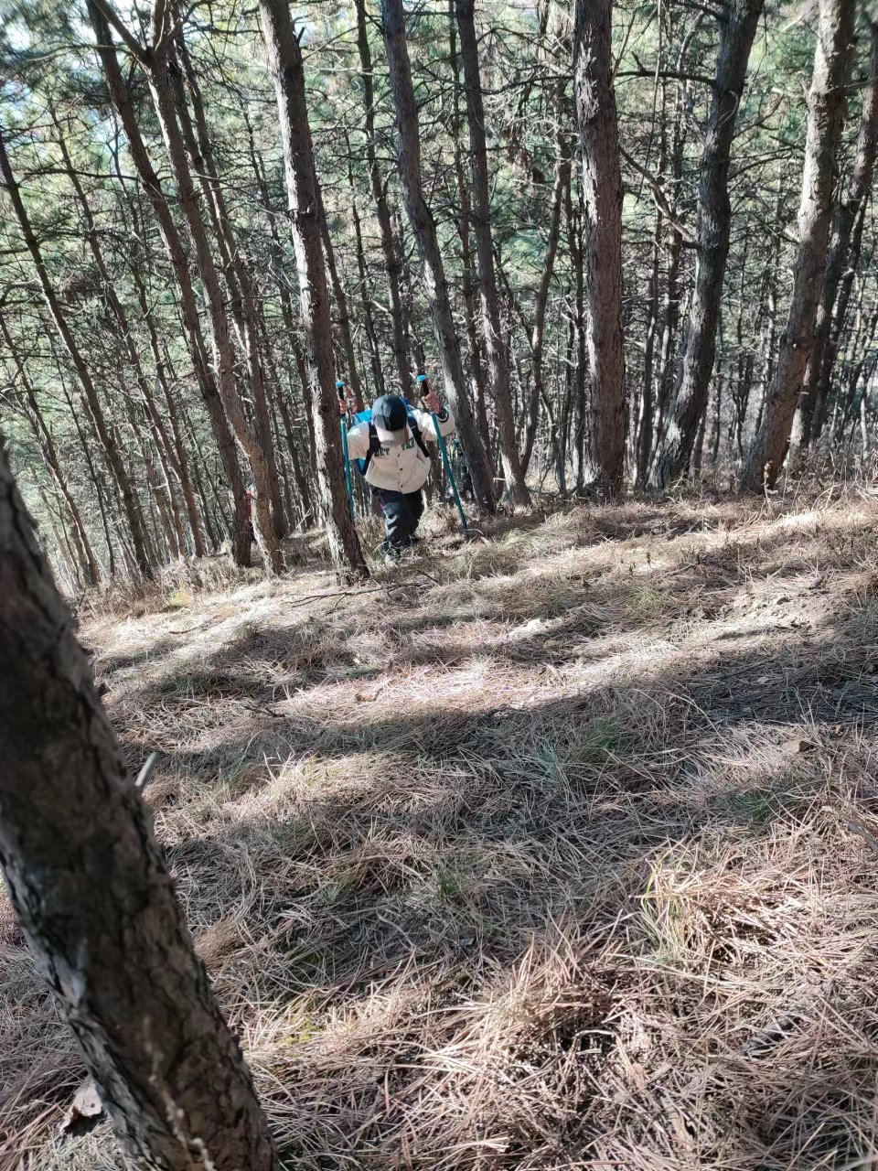 l3pwE7awCV3NKRoMXuTxCW3DqJy9pwS0nV6huBbL8V0O82x1LAkZLSGCQVcRXhui