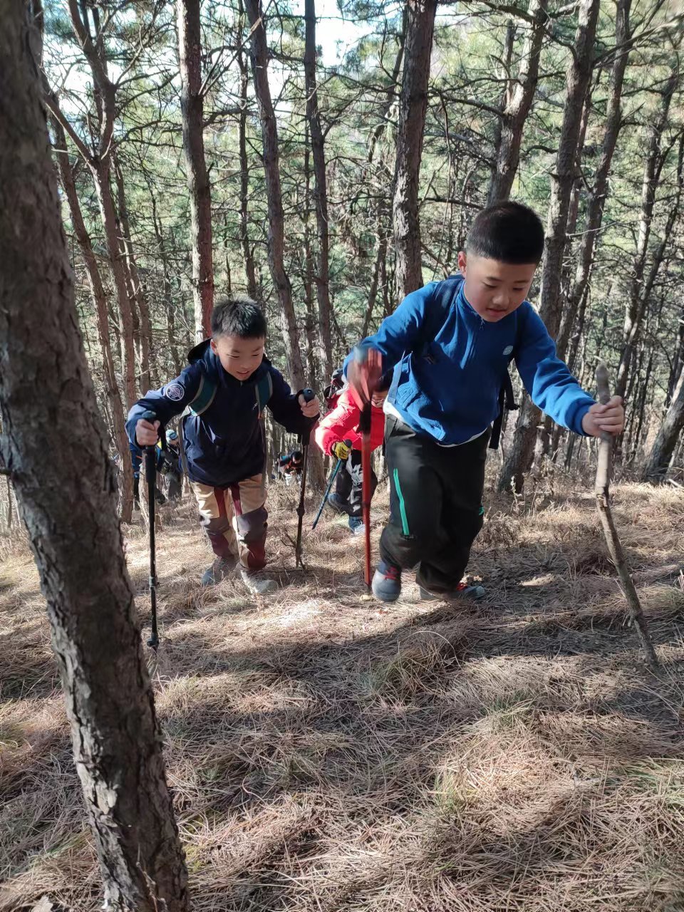 l3pwE7awCV3NKRoMXuTxCV1Xzy9nv7u8C4H8OSjxNQ5PEvk8OChLngyoFX9-zlMs