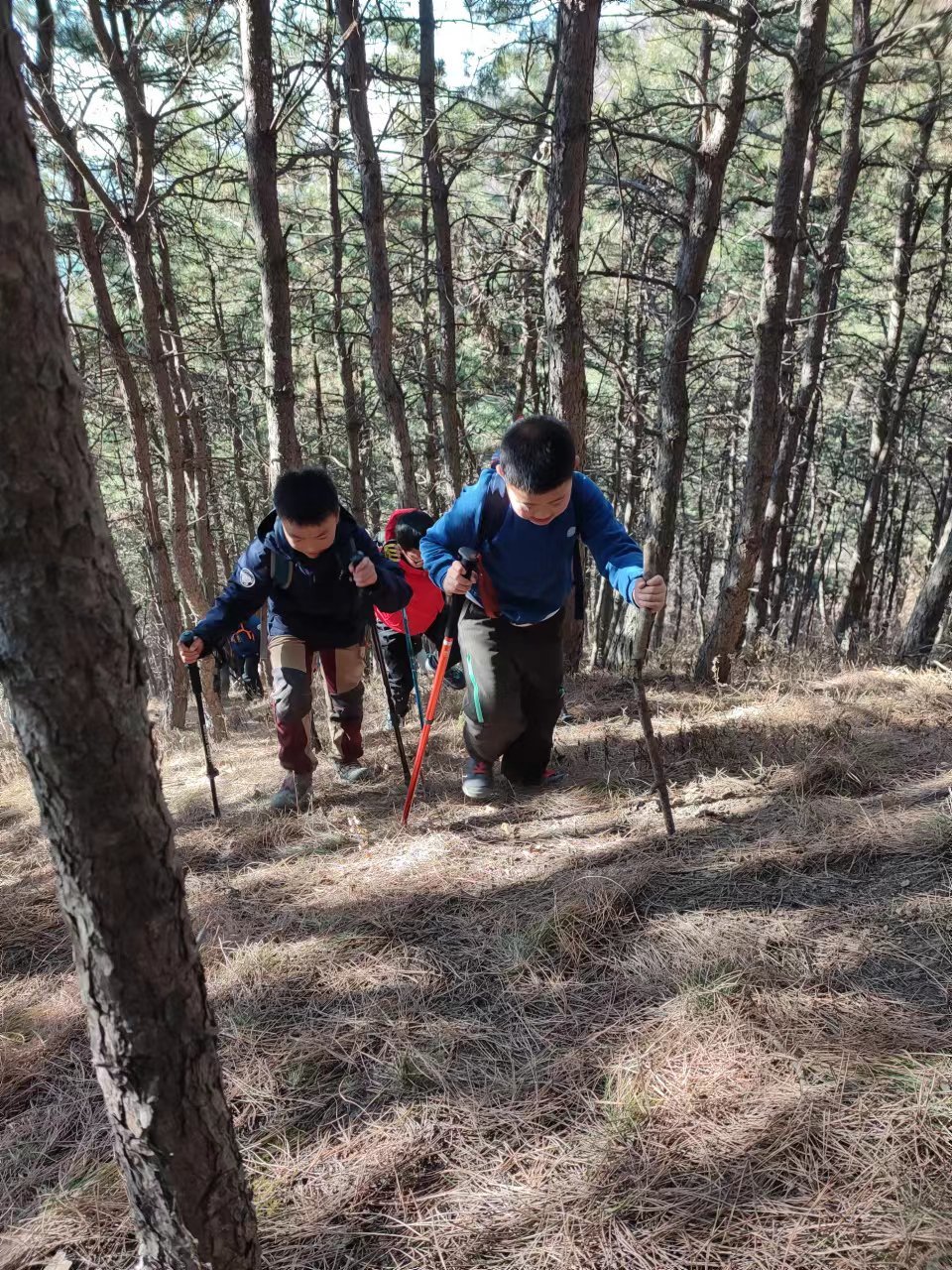 l3pwE7awCV3NKRoMXuTxCWxTSWuibEildSvMfpE3IaFShXpcP2NW81kksWTAoKeU