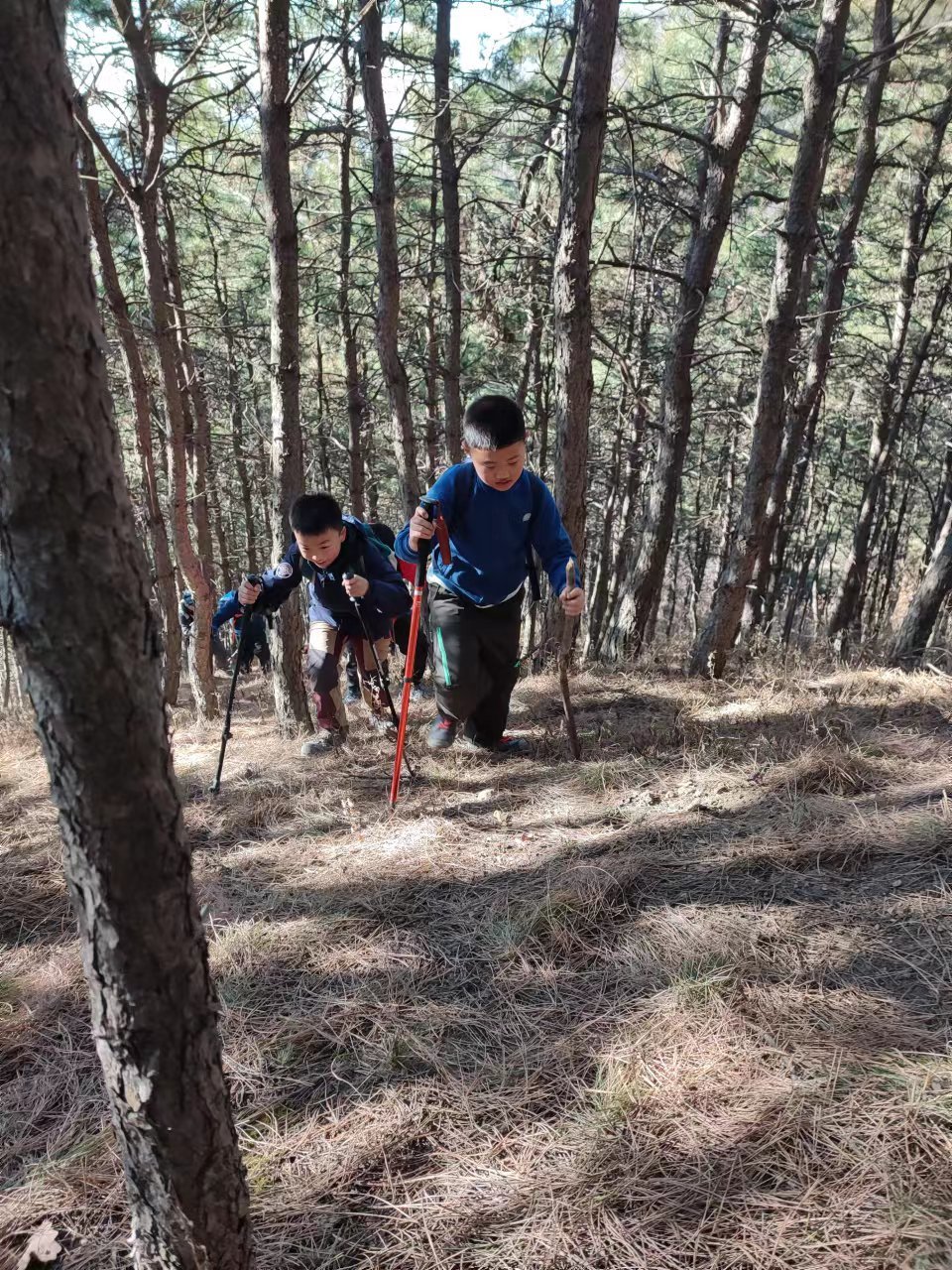 l3pwE7awCV3NKRoMXuTxCVC2vt-krPXTQ6B-wtdTOfOJ6ixk_e4Cna8AJcAQyGWJ