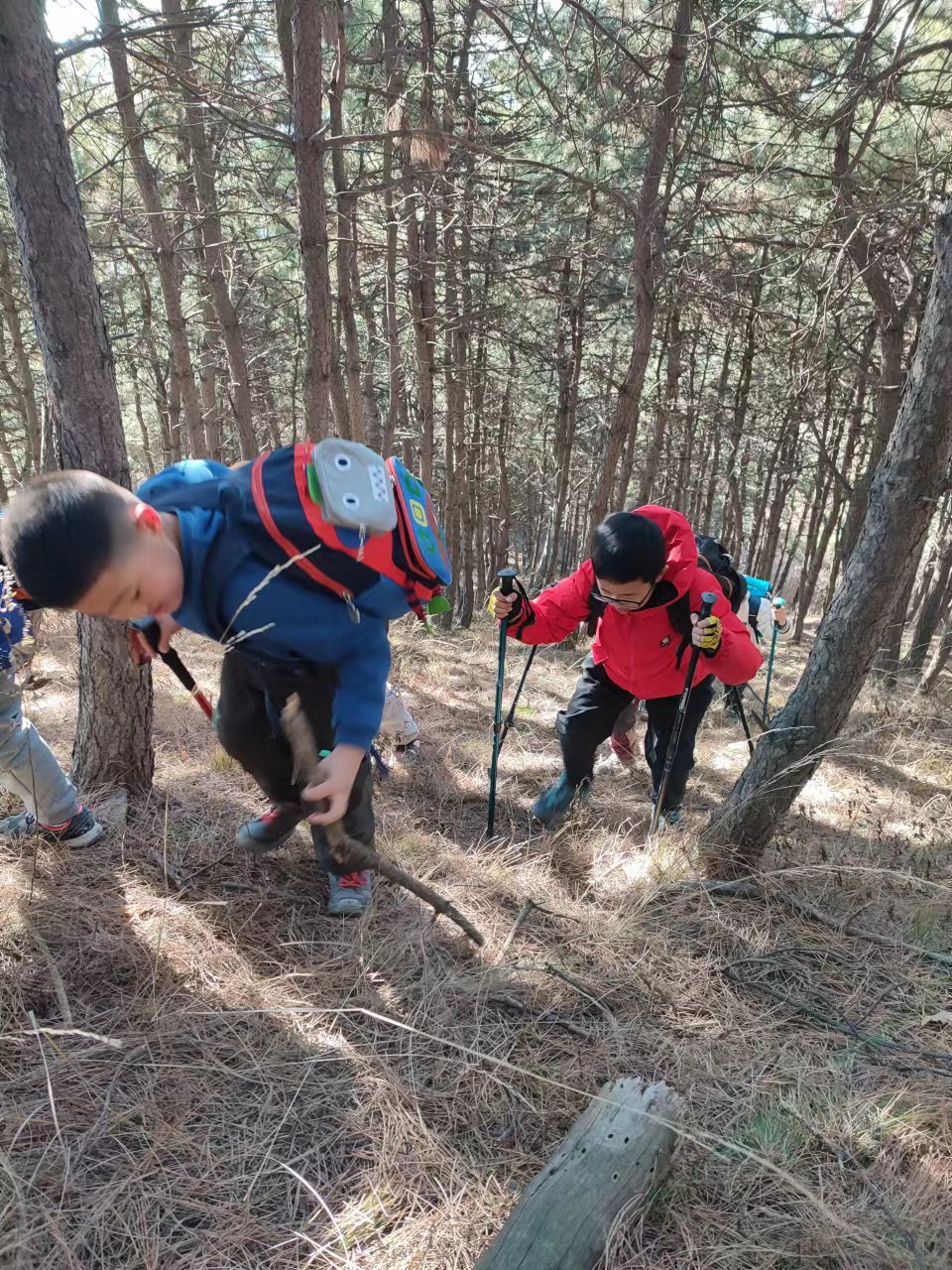 l3pwE7awCV3NKRoMXuTxCQNKFh2shTyIzIEUxprr3iAVGPalXbIC05_eWKWEFpBx