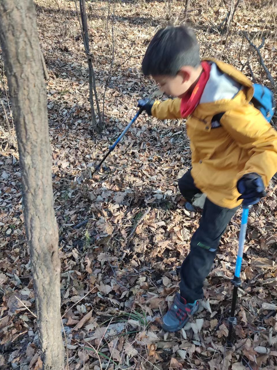 l3pwE7awCV3NKRoMXuTxCXRywj0DyyJeJ9YC4DgULDncksQrWkIV8gnnA9MCAR4N