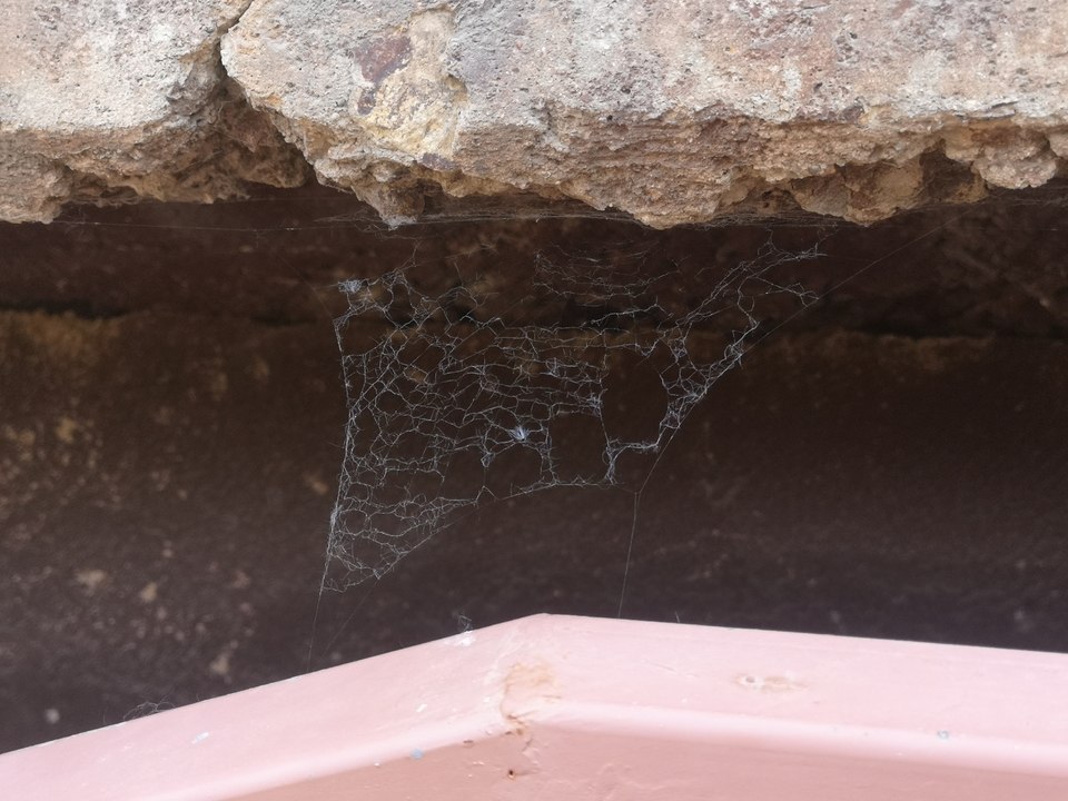 y_6HKOfkkX79M5wmPvyAkffgb2EcQfGoI4qT6QyTiflbeCFrmzWp05IlfikqXJeG