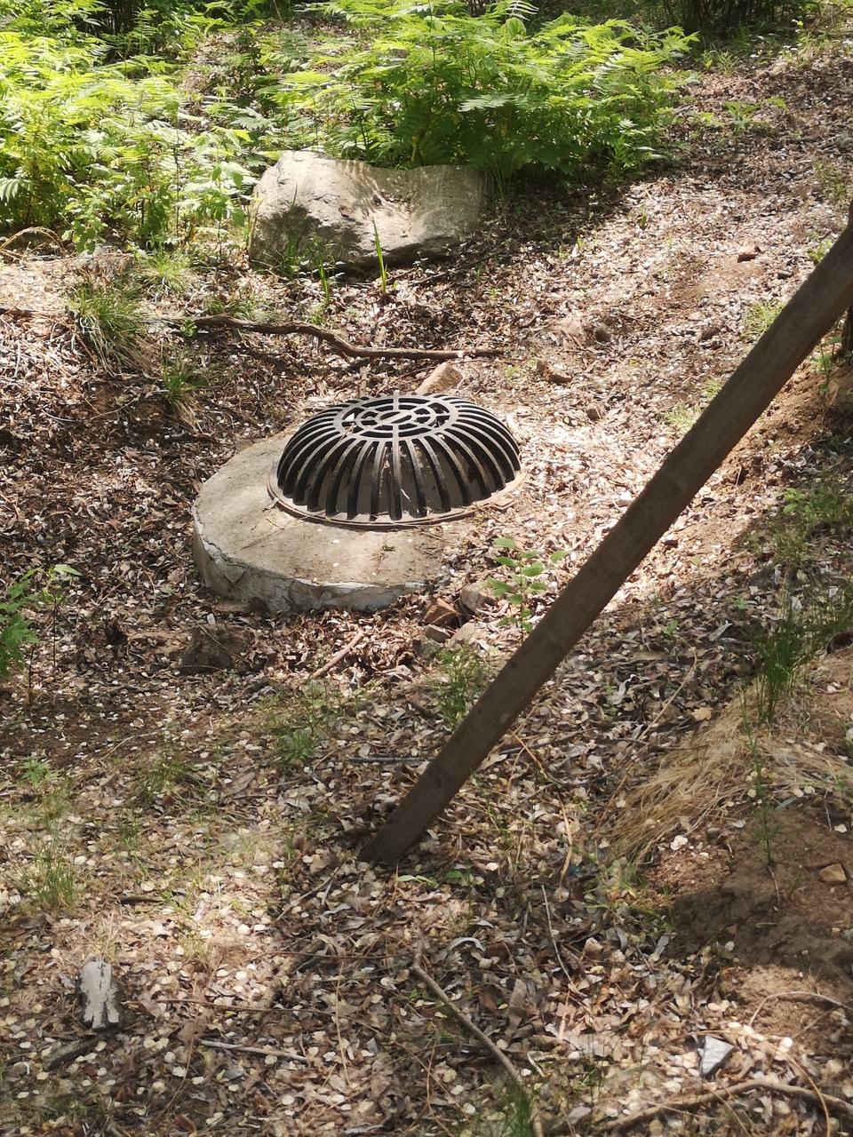 y_6HKOfkkX79M5wmPvyAkVwLijZCVU3uElnMxRgIYrS5__b4aNo1AmXIRMMJ0f9R