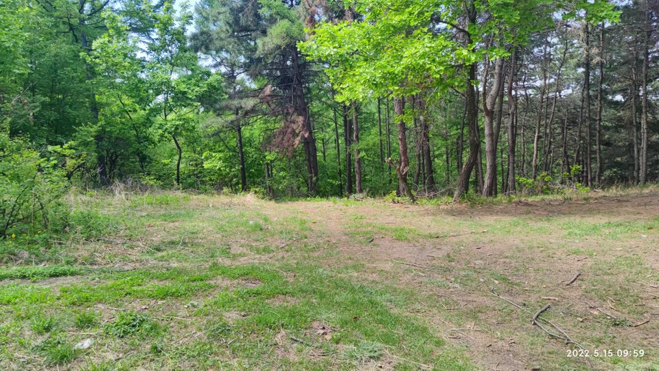 bOIOosbi-XyRKxGTkL2W4MchC8qygdVUXAsEX4kGXH5i-9OLQD9Ww-oZvR2iXmMV