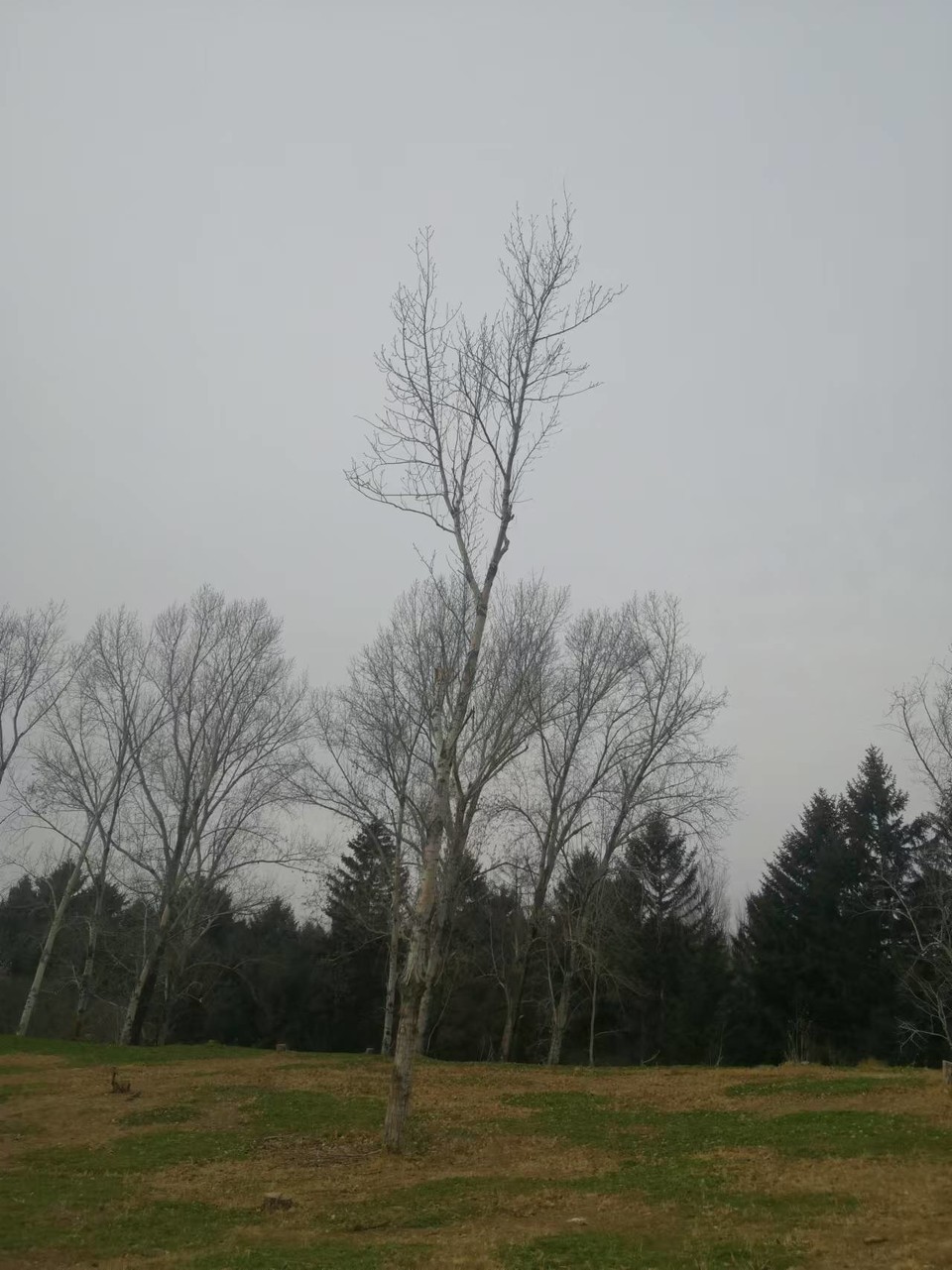 EA3jBD0MwmDUWnrNAq3_kzNGToncMFRS7usYYp4cSKMYpIFBoiWSHn2w3UjeNoN6