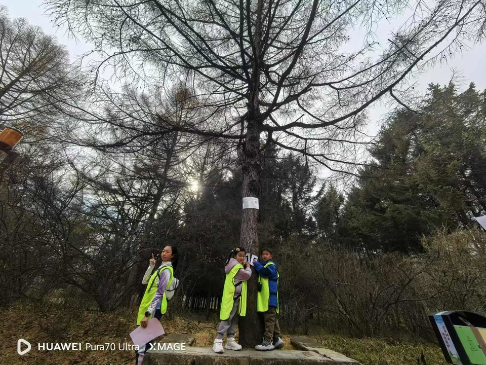 W2Jva83ybiVBMpv_4_VUZfT9jjq1_Rv_l7KzqdnrH7-o49BKlZcbx9PZhf1SN1kU