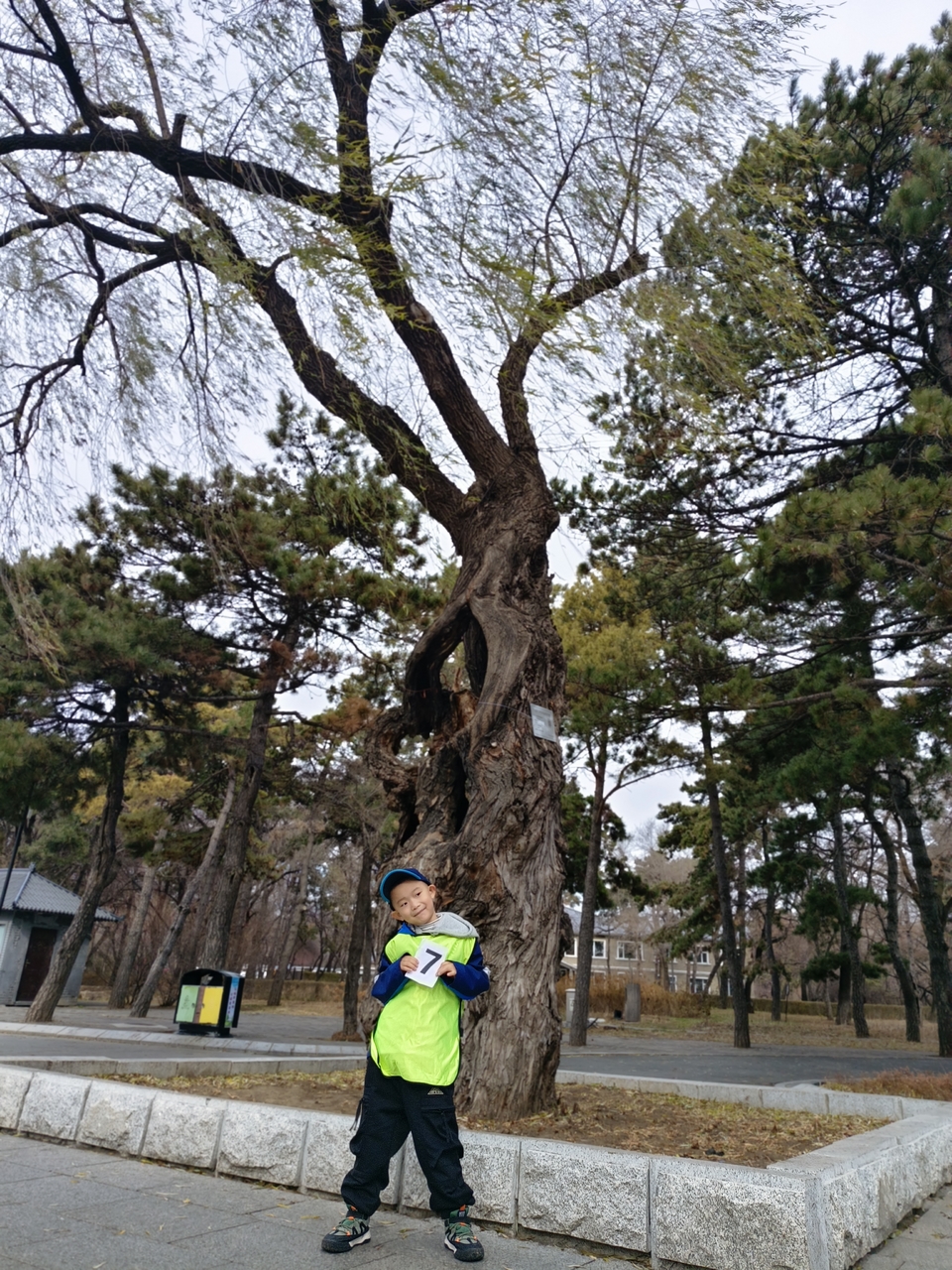 HncaceS7EeUrMyZ8CpQ78D-bjXPcmZvRGZPH_R3GUxTzkbNiW3zkoNVYycfTlu9D