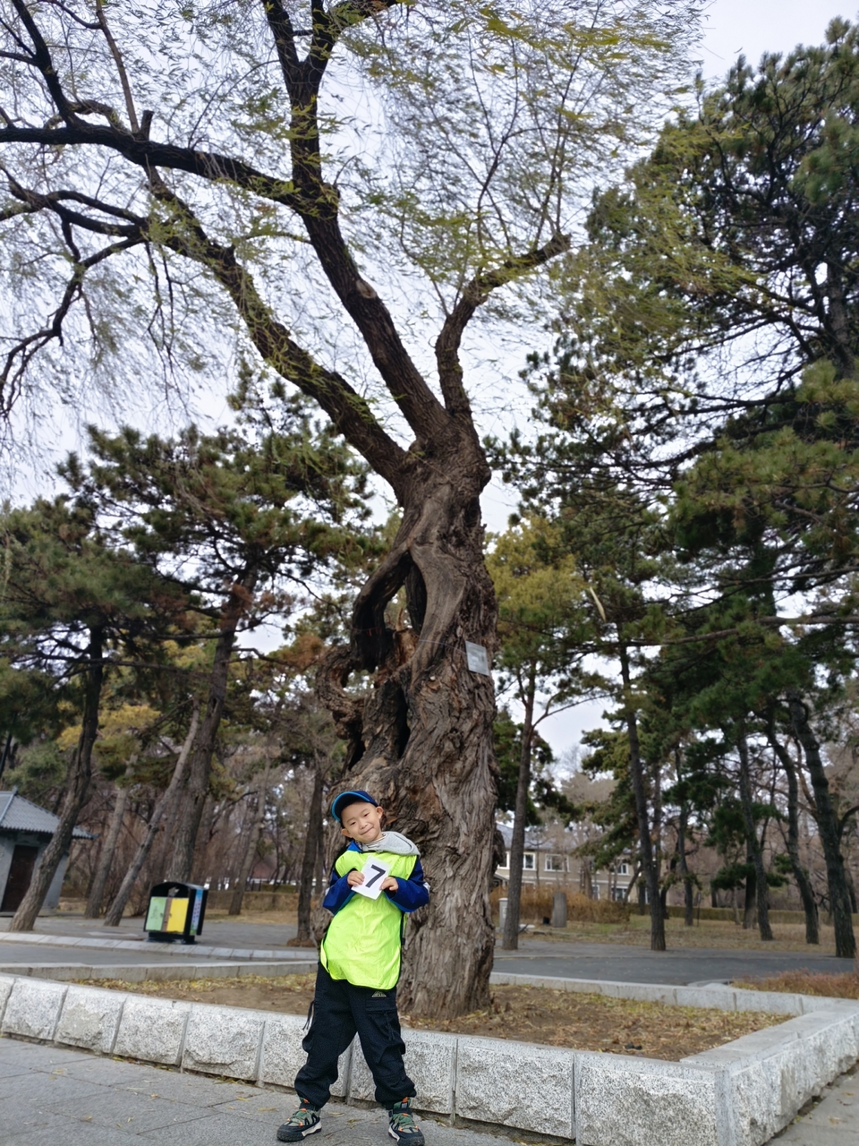 ubXHptesUKL1RnZ8Gu5tr4QIQmCQYZBmbWIa_yn1RcFYo8p1L3ZTFRB1D95hC3uo